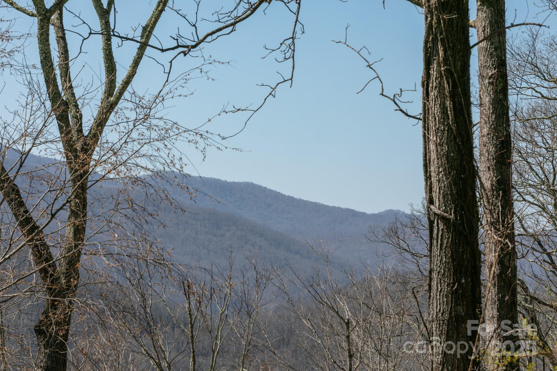 LOT 13 Austin Mountain Drive #13/3 - Photo 6