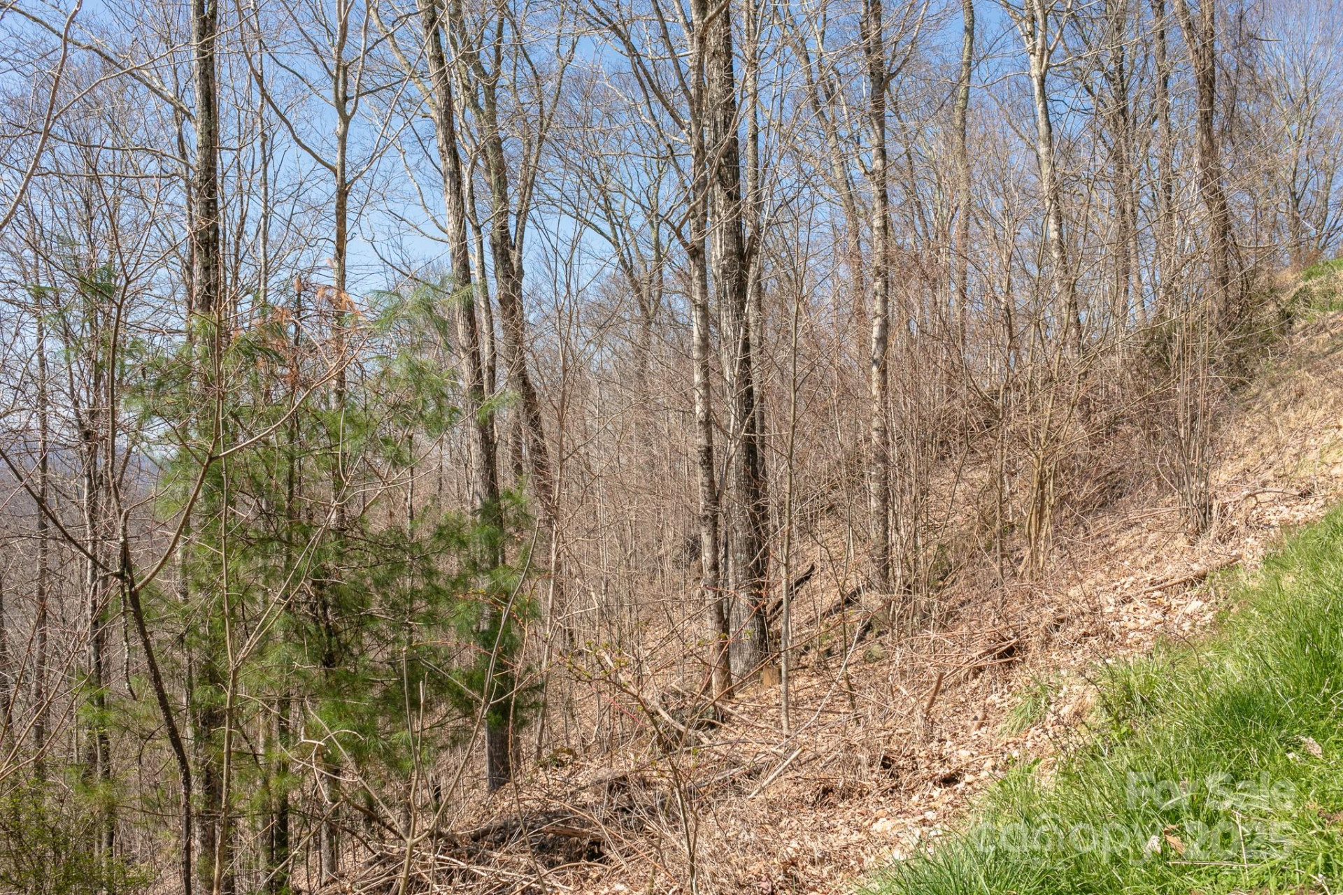 LOT 13 Austin Mountain Drive #13/3 - Photo 8