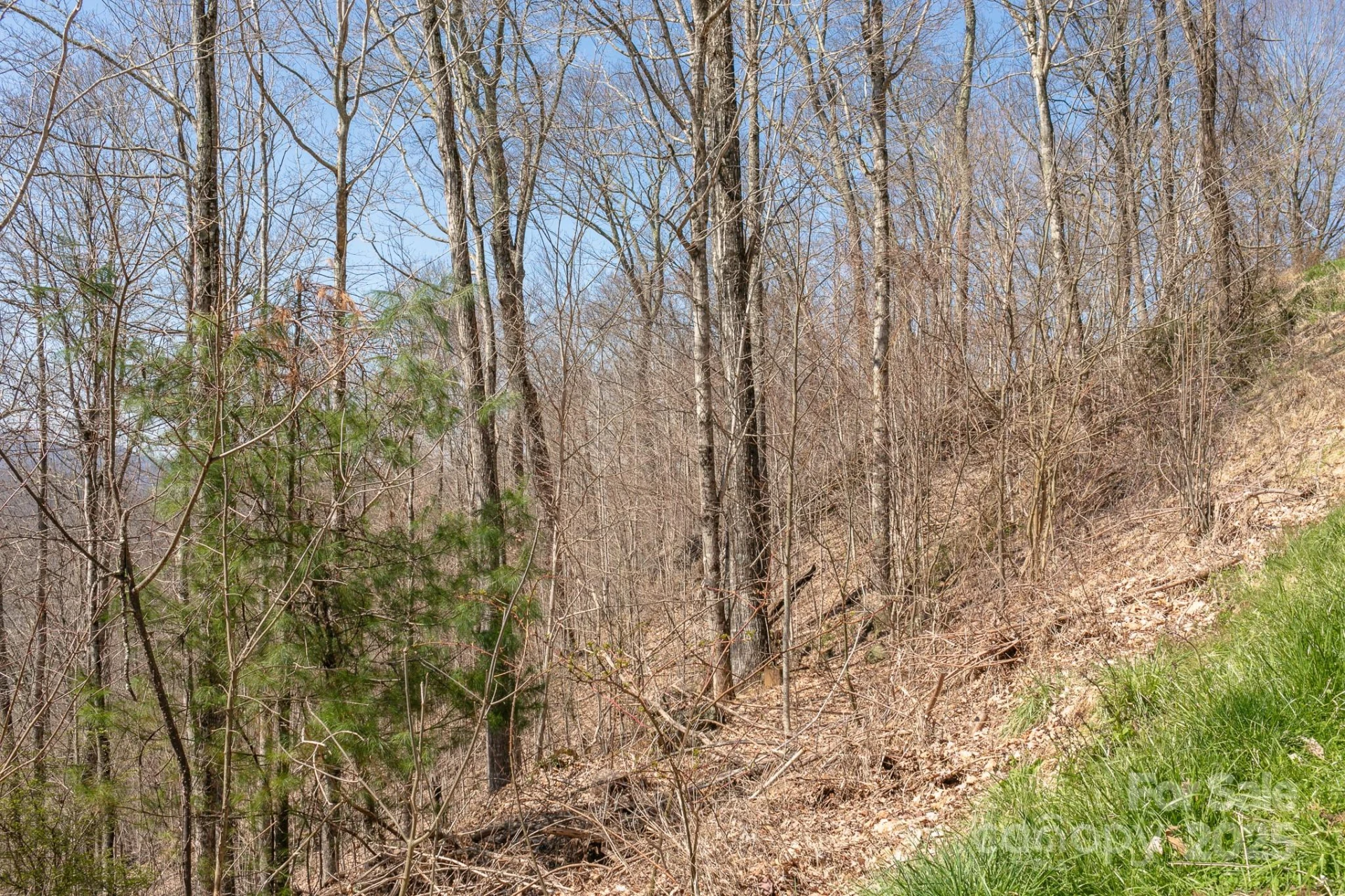 LOT 13 Austin Mountain Drive #13/3 - Photo 8