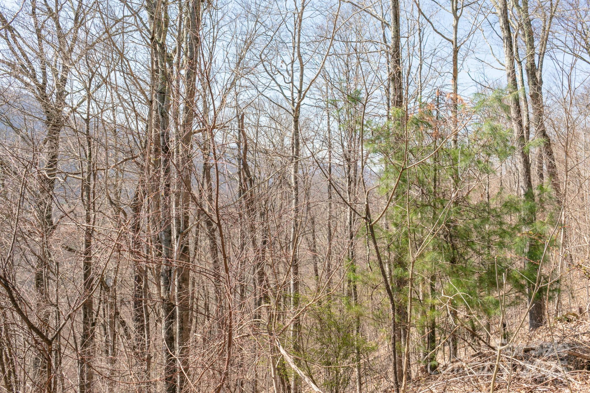 LOT 13 Austin Mountain Drive #13/3 - Photo 9