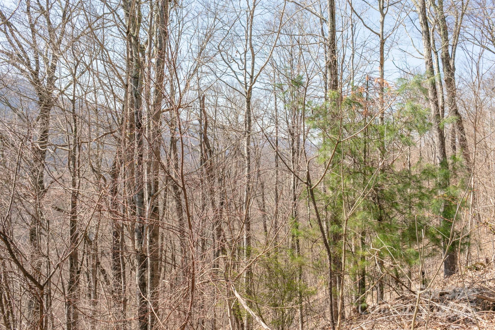 LOT 13 Austin Mountain Drive #13/3 - Photo 9