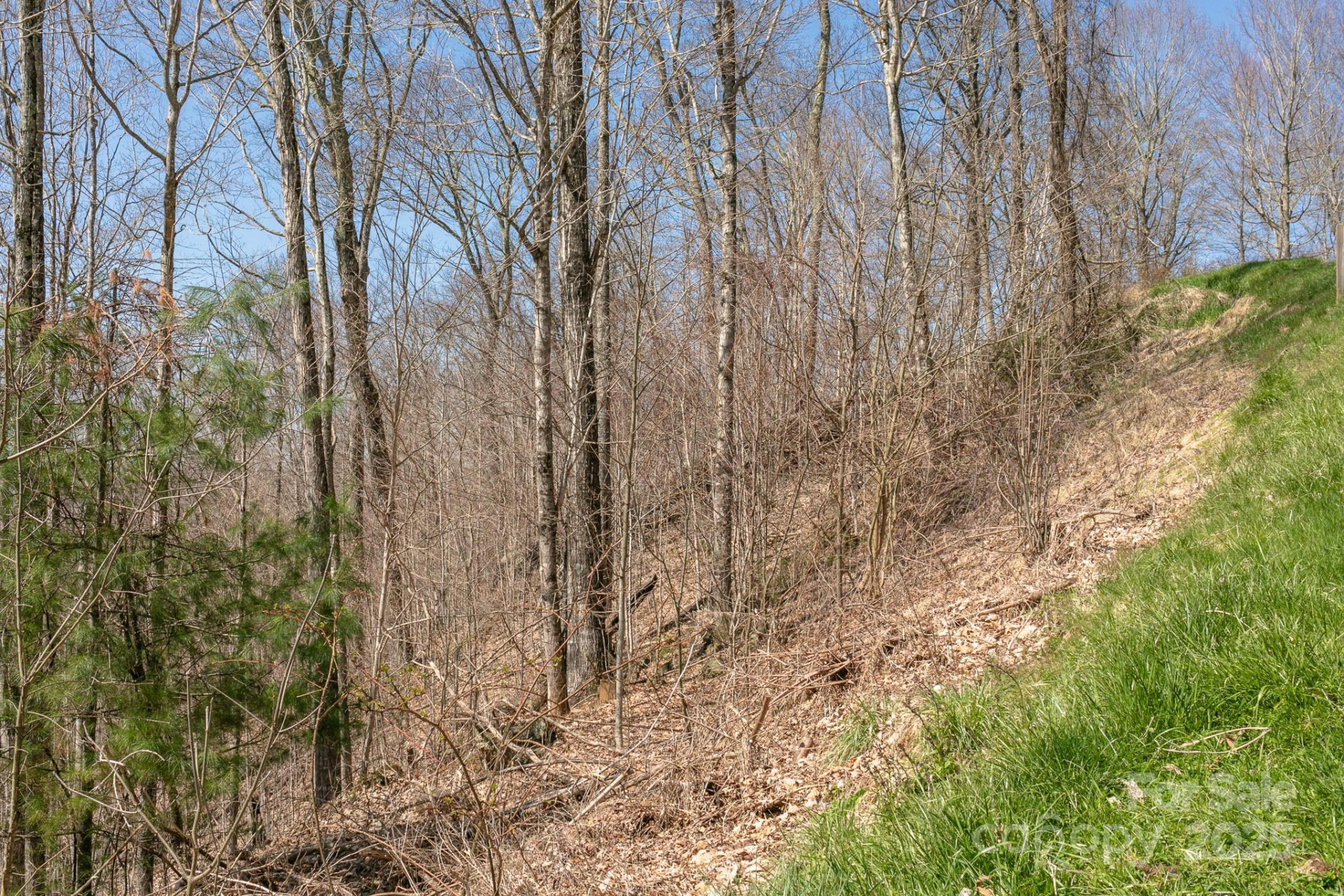 LOT 13 Austin Mountain Drive #13/3 - Photo 10