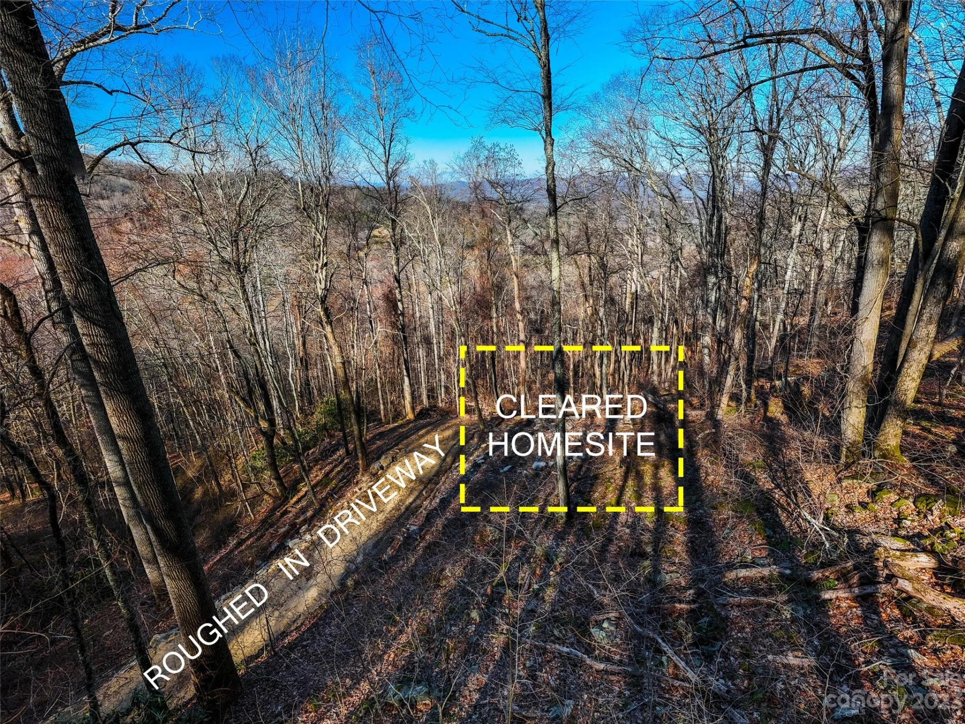 58 Flora Rose Trail #6A