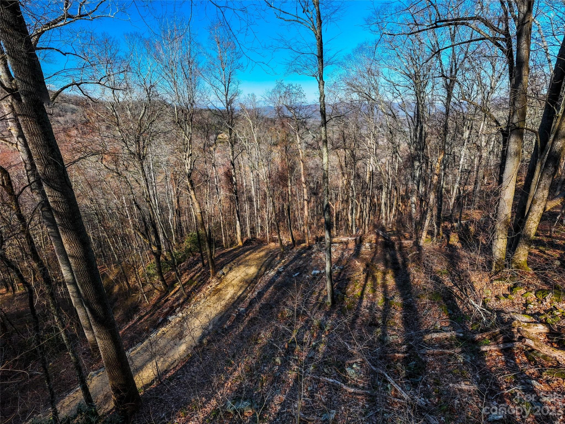 58 Flora Rose Trail #6A - Photo 2