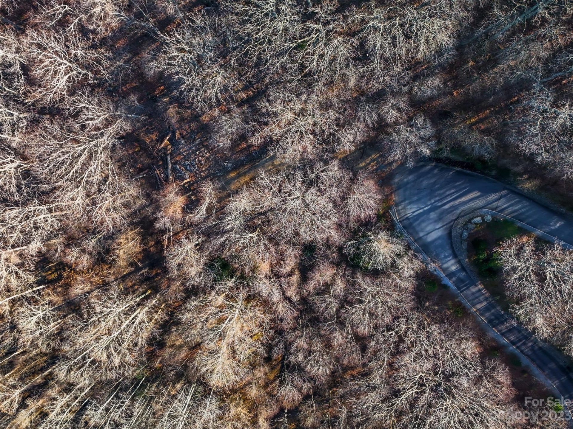 58 Flora Rose Trail #6A - Photo 3