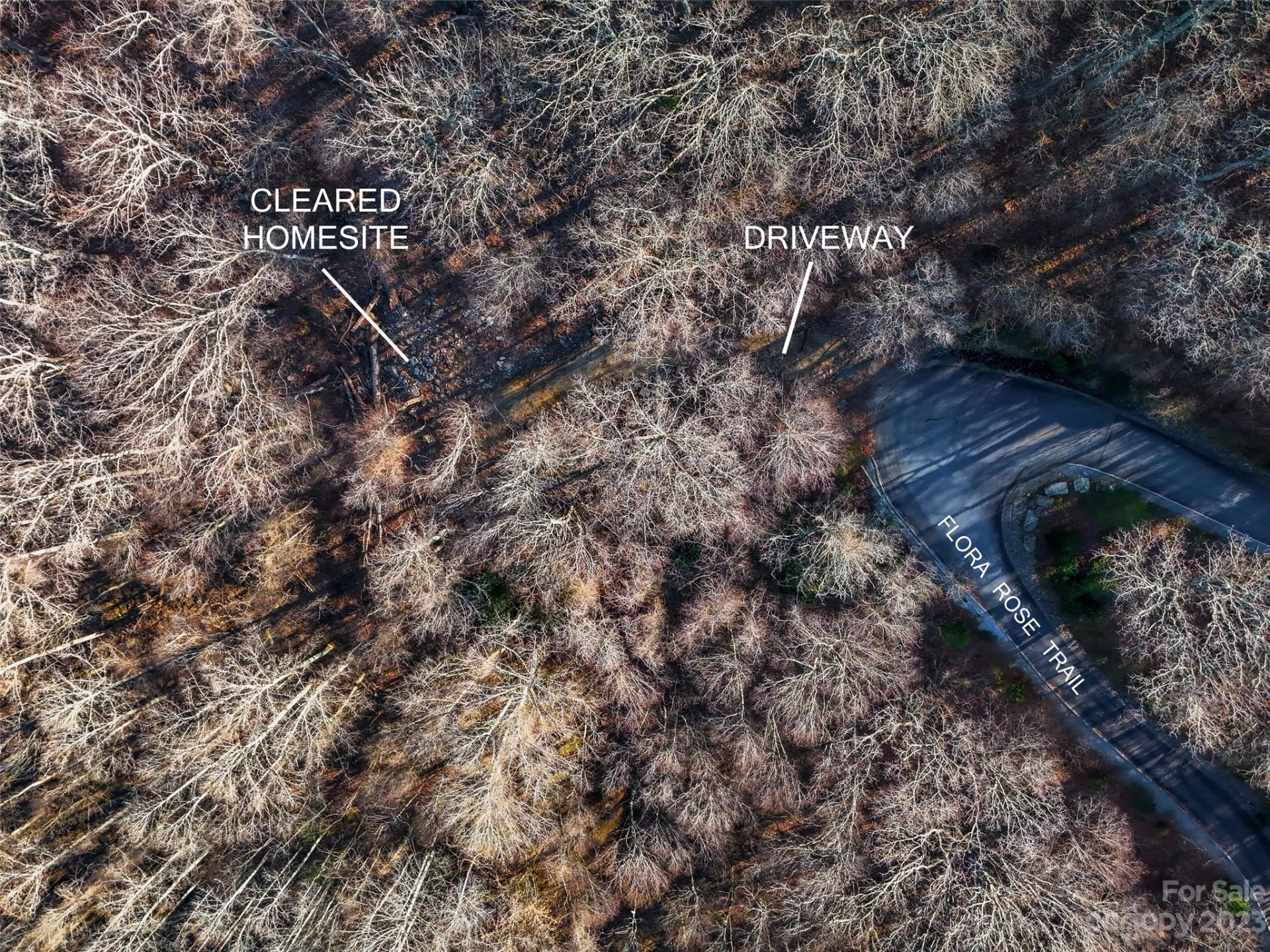 58 Flora Rose Trail #6A - Photo 4