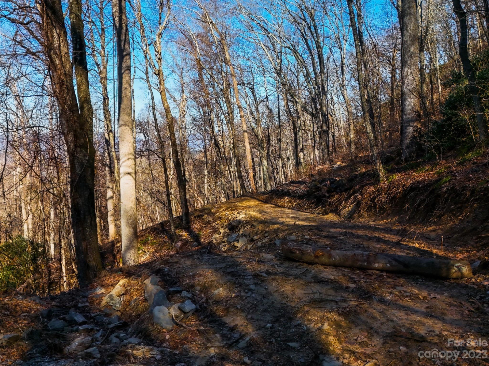 58 Flora Rose Trail #6A - Photo 5