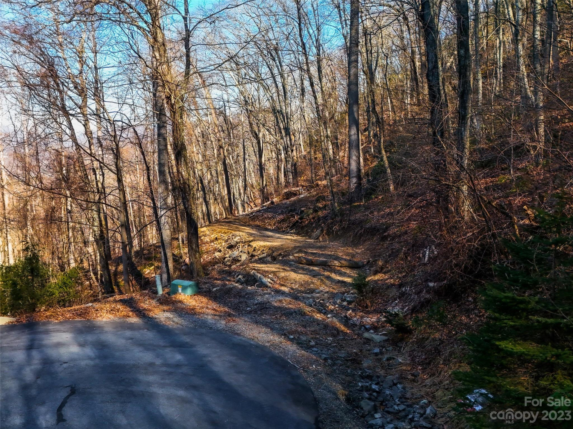 58 Flora Rose Trail #6A - Photo 6