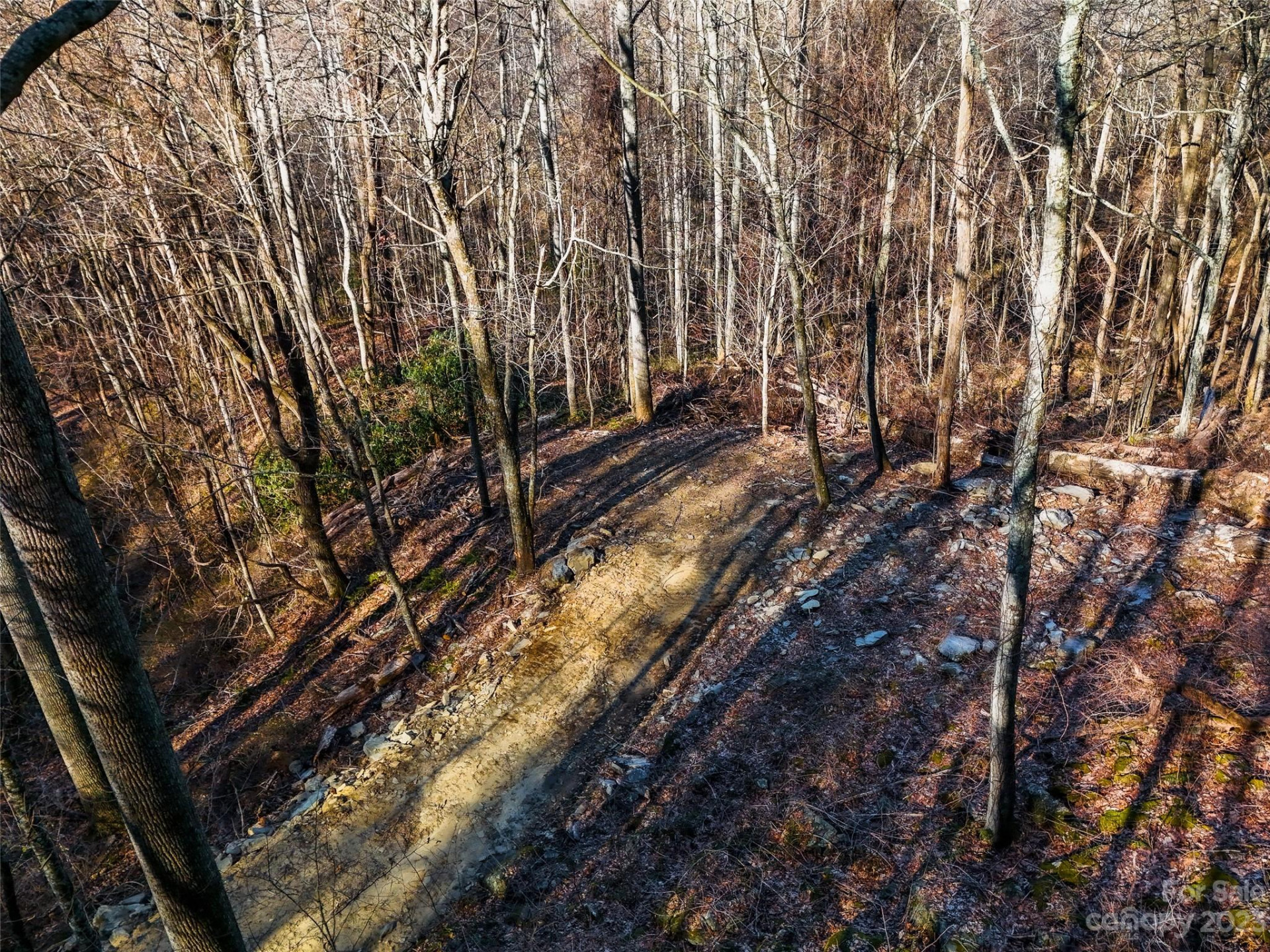 58 Flora Rose Trail #6A - Photo 7