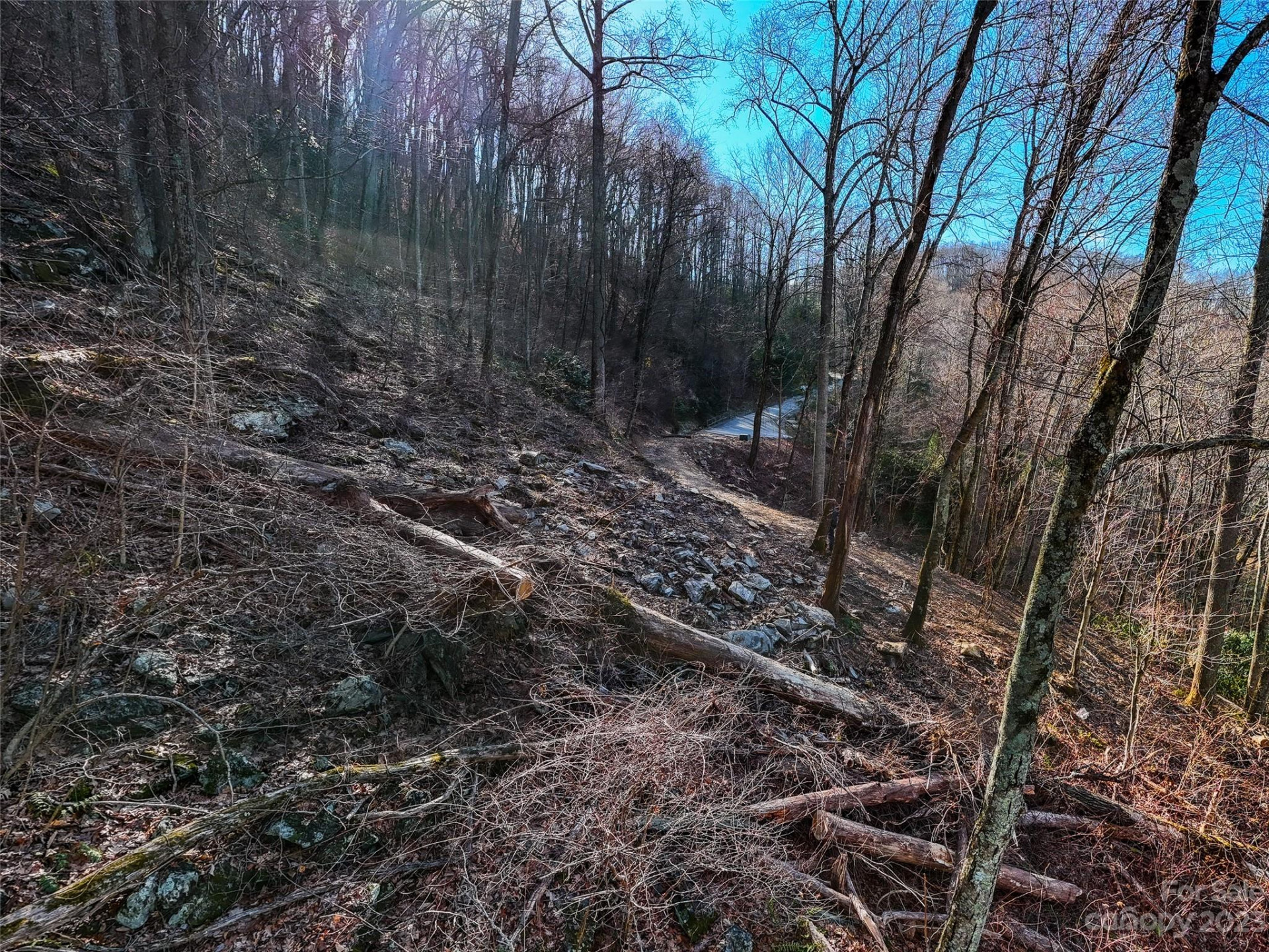 58 Flora Rose Trail #6A - Photo 8