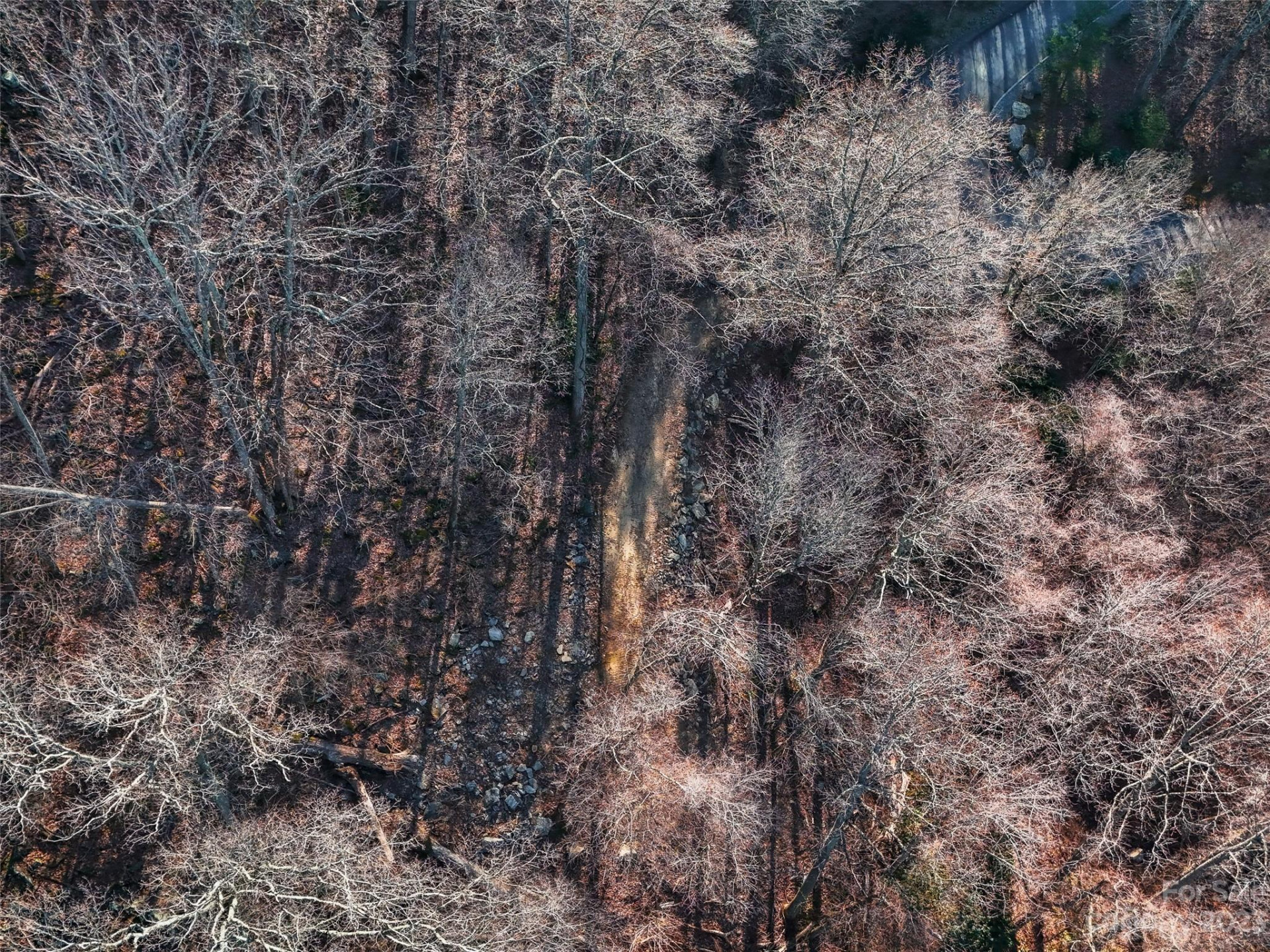 58 Flora Rose Trail #6A - Photo 9