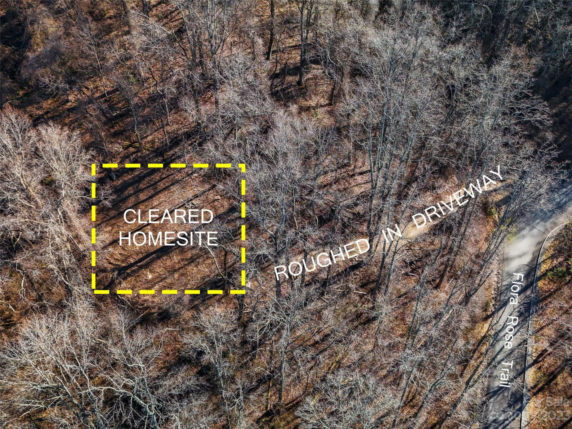 64 Flora Rose Trail #6B - Photo 2