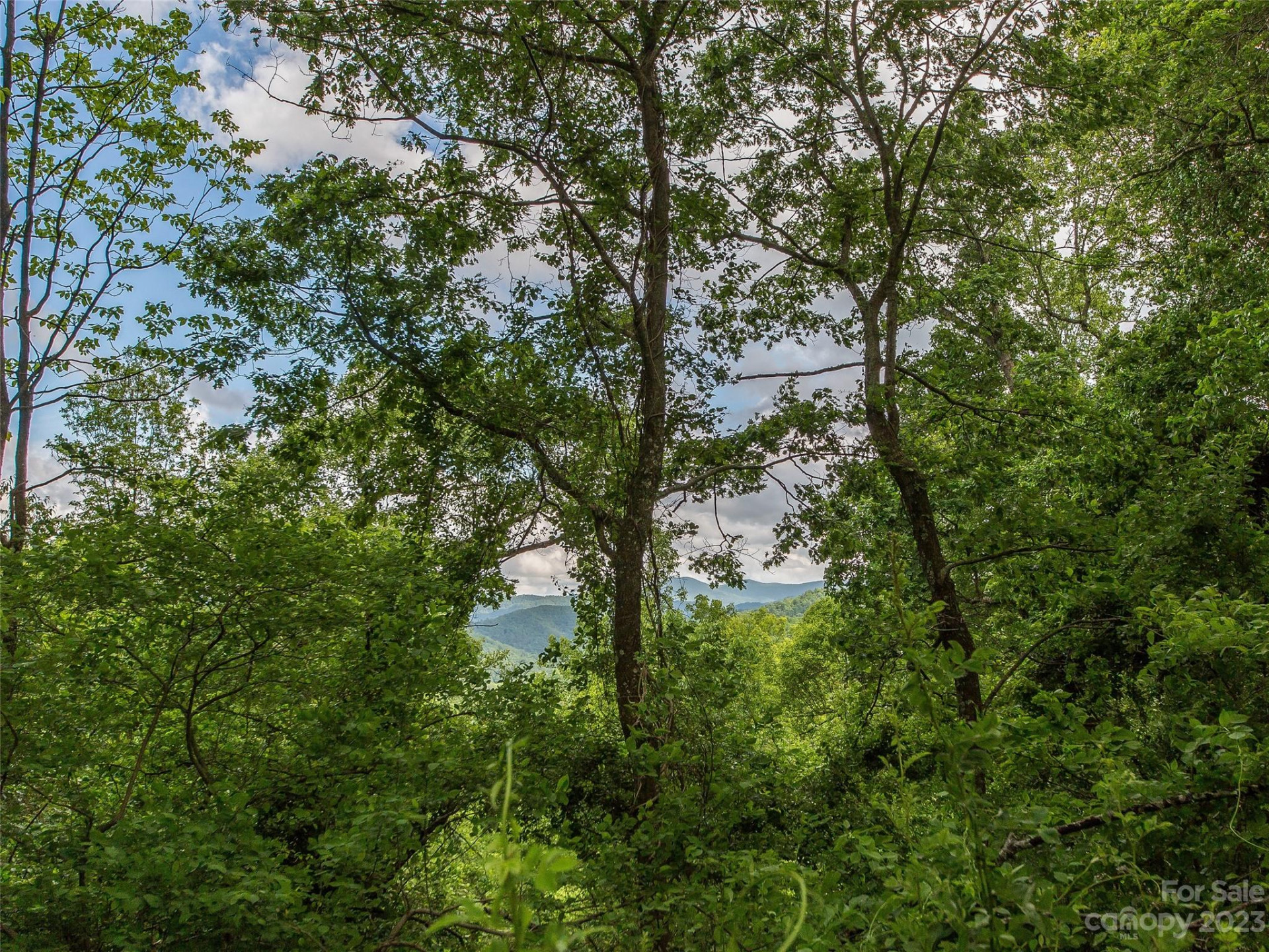 64 Flora Rose Trail #6B - Photo 13