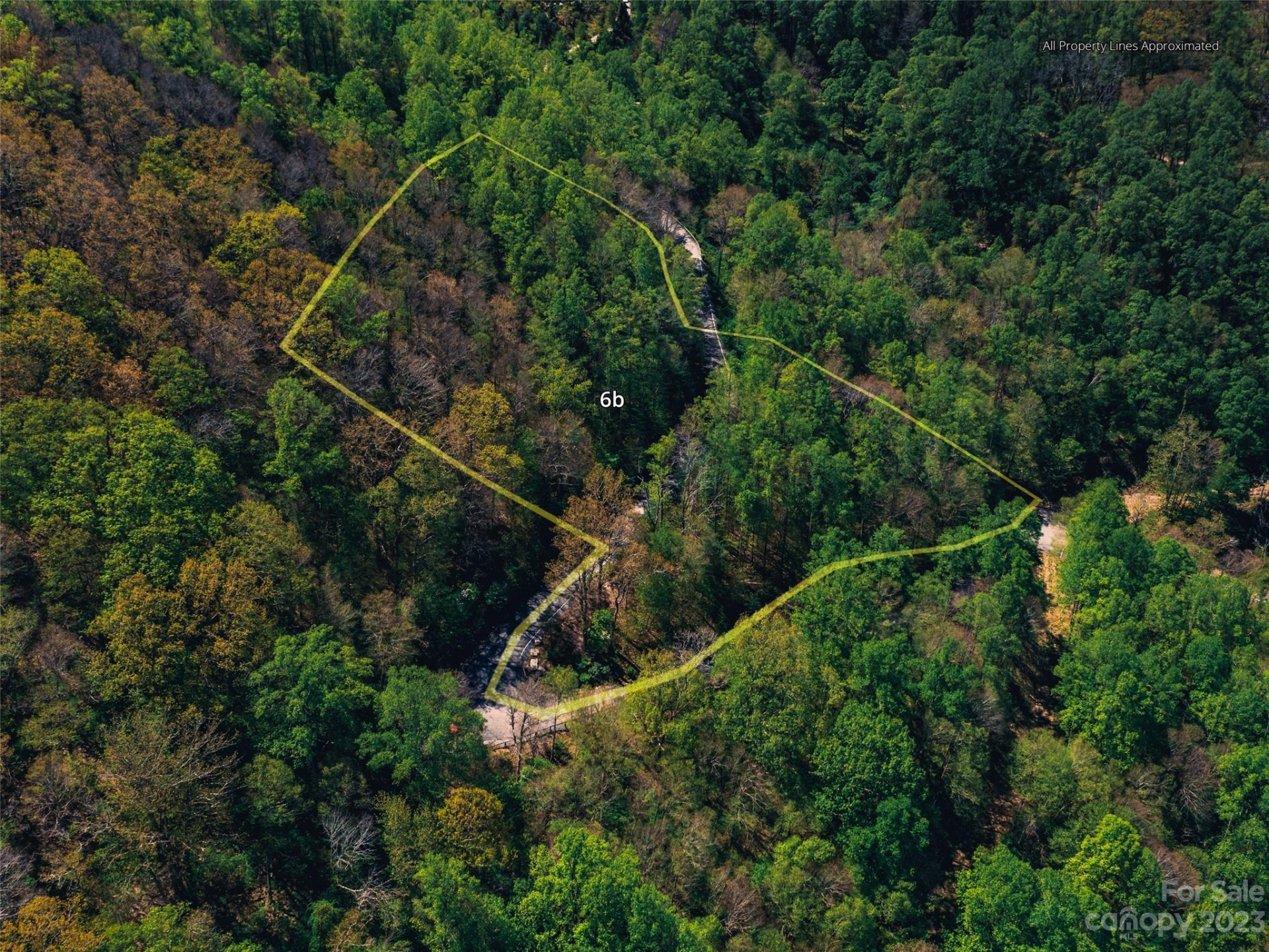 64 Flora Rose Trail #6B - Photo 17