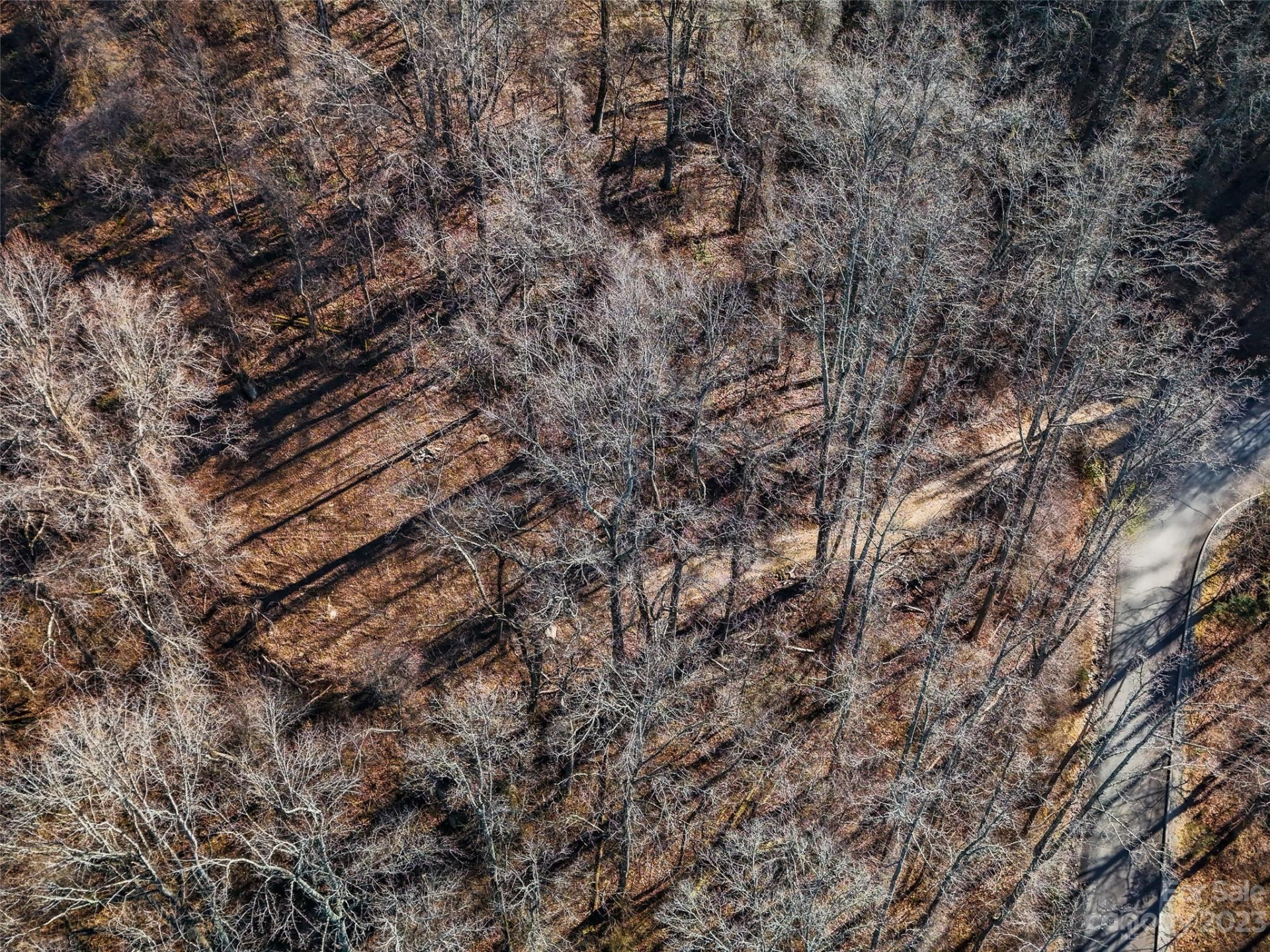 64 Flora Rose Trail #6B - Photo 3