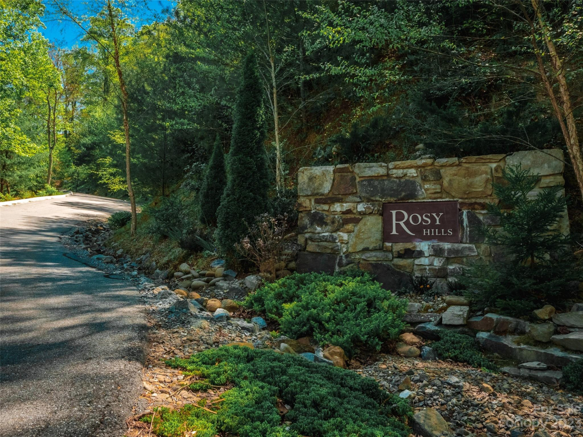 64 Flora Rose Trail #6B - Photo 22