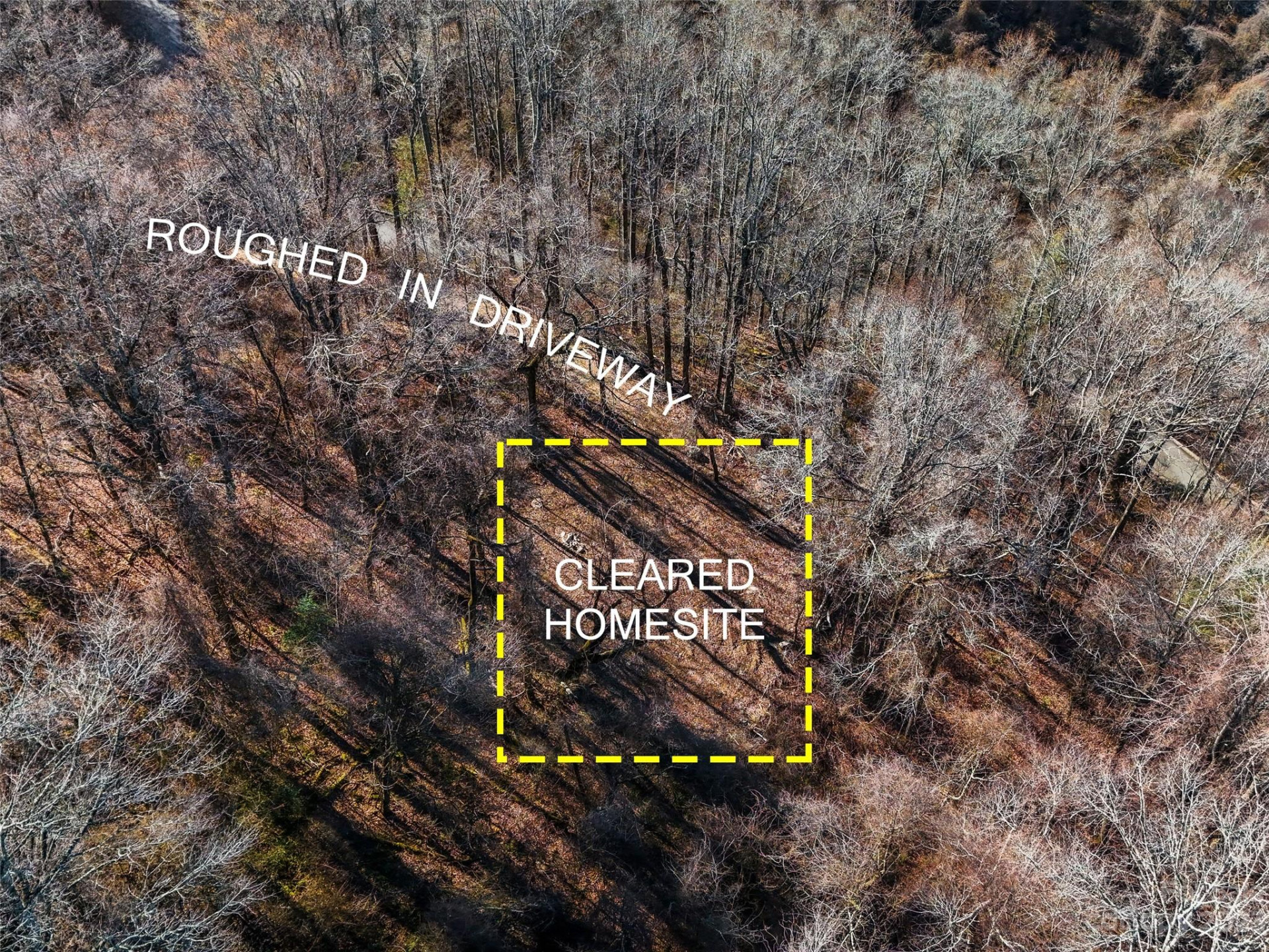 64 Flora Rose Trail #6B - Photo 4