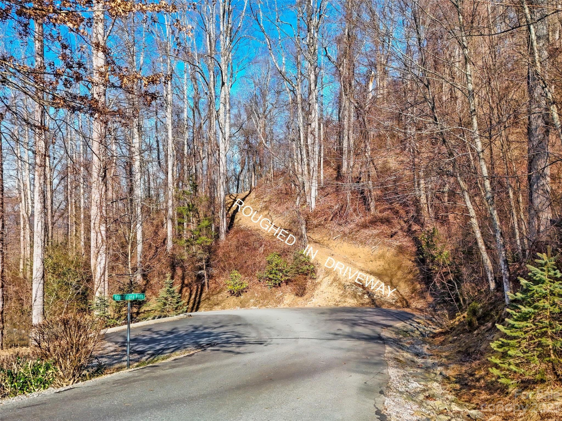 64 Flora Rose Trail #6B - Photo 6