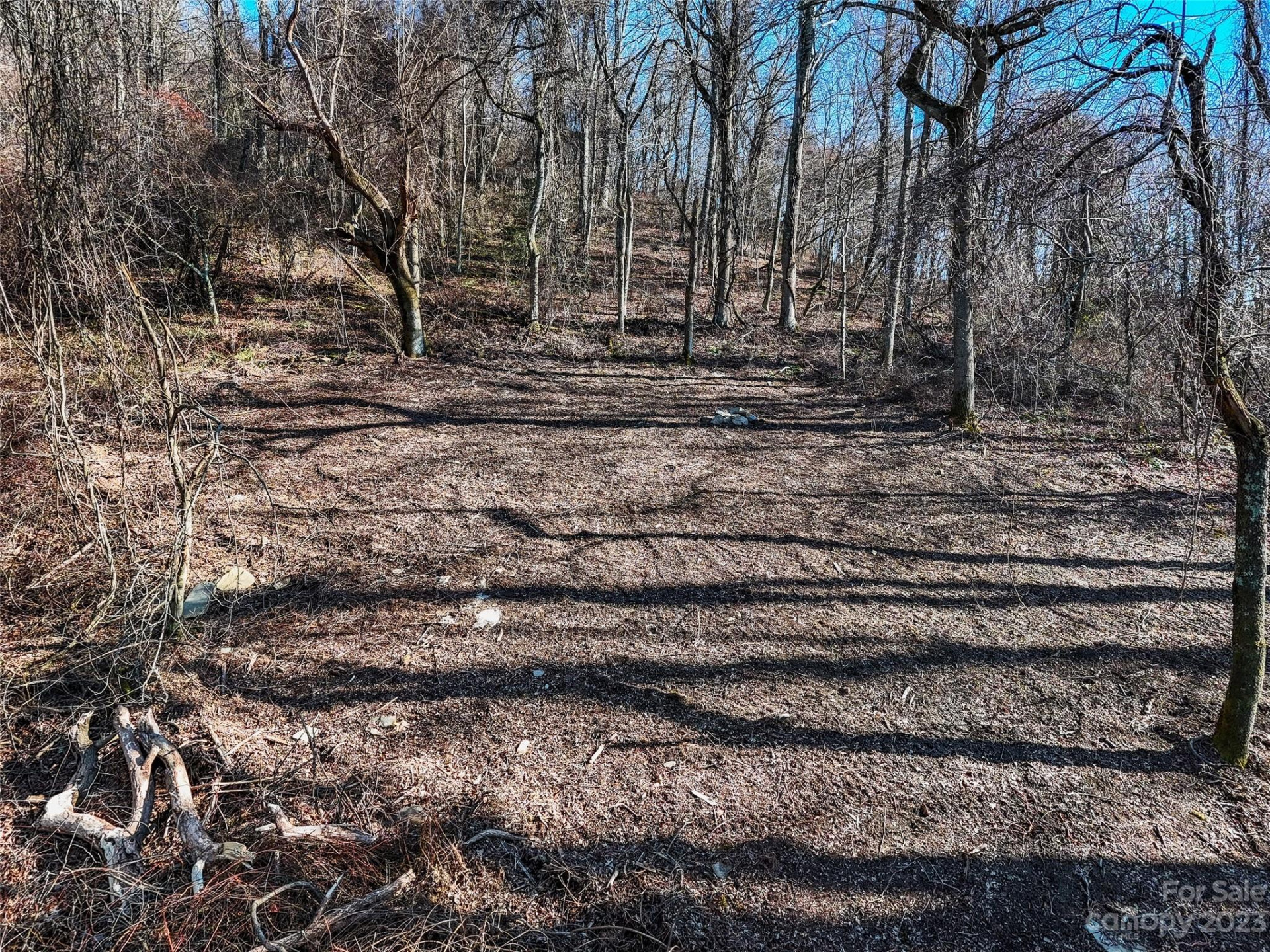 64 Flora Rose Trail #6B - Photo 7