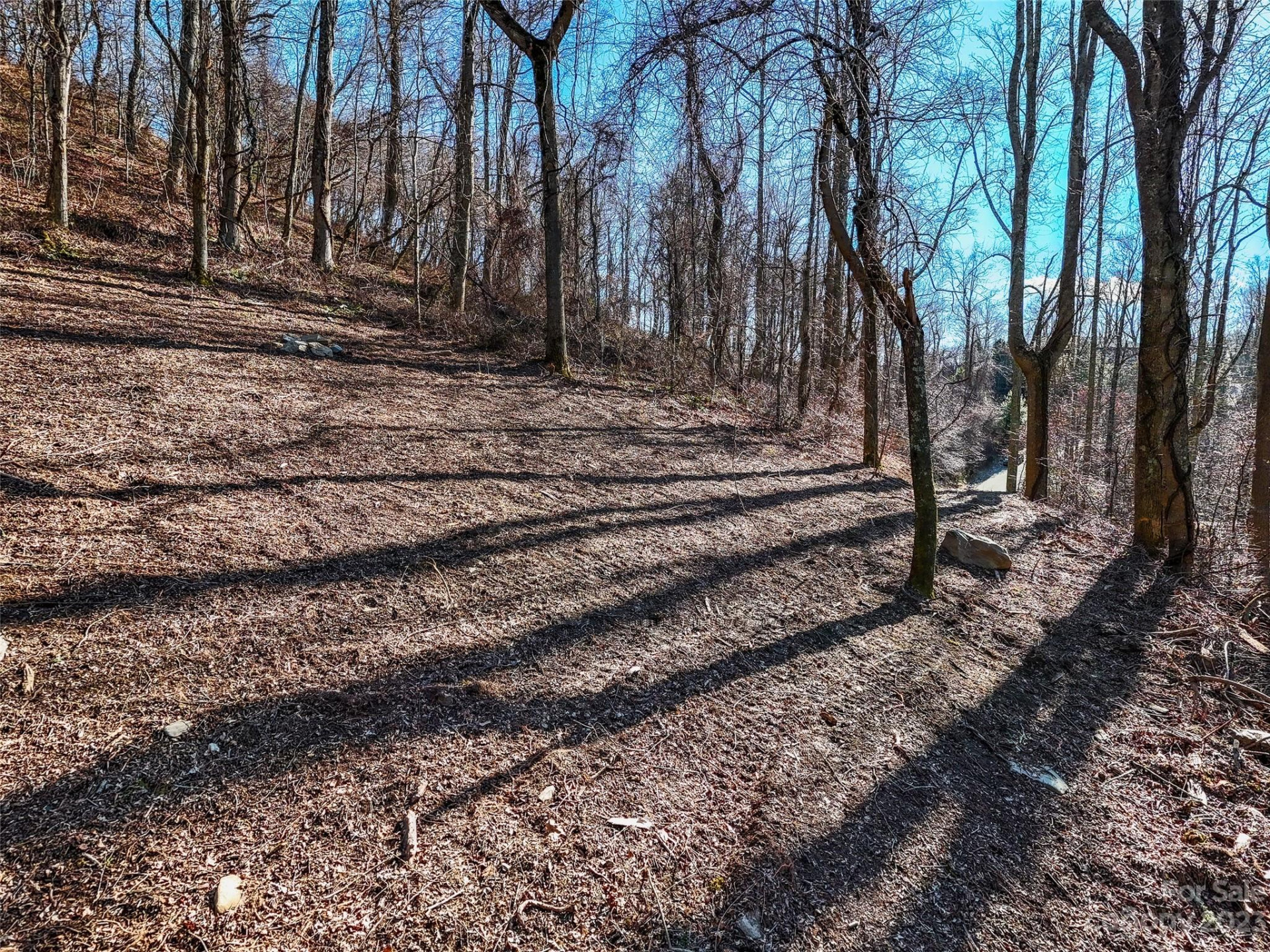 64 Flora Rose Trail #6B - Photo 8