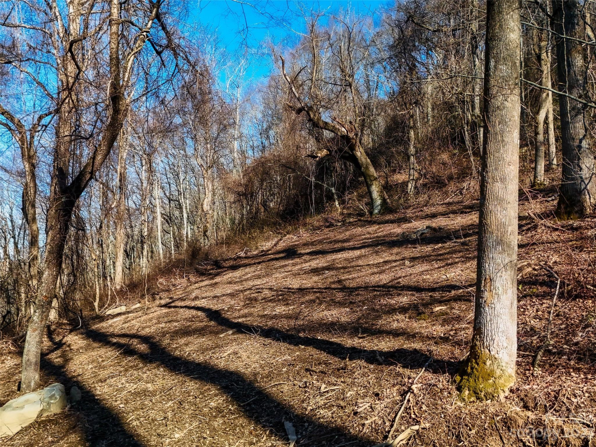 64 Flora Rose Trail #6B - Photo 9