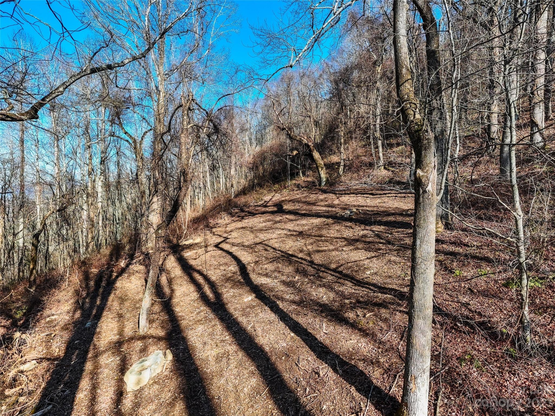 64 Flora Rose Trail #6B - Photo 10