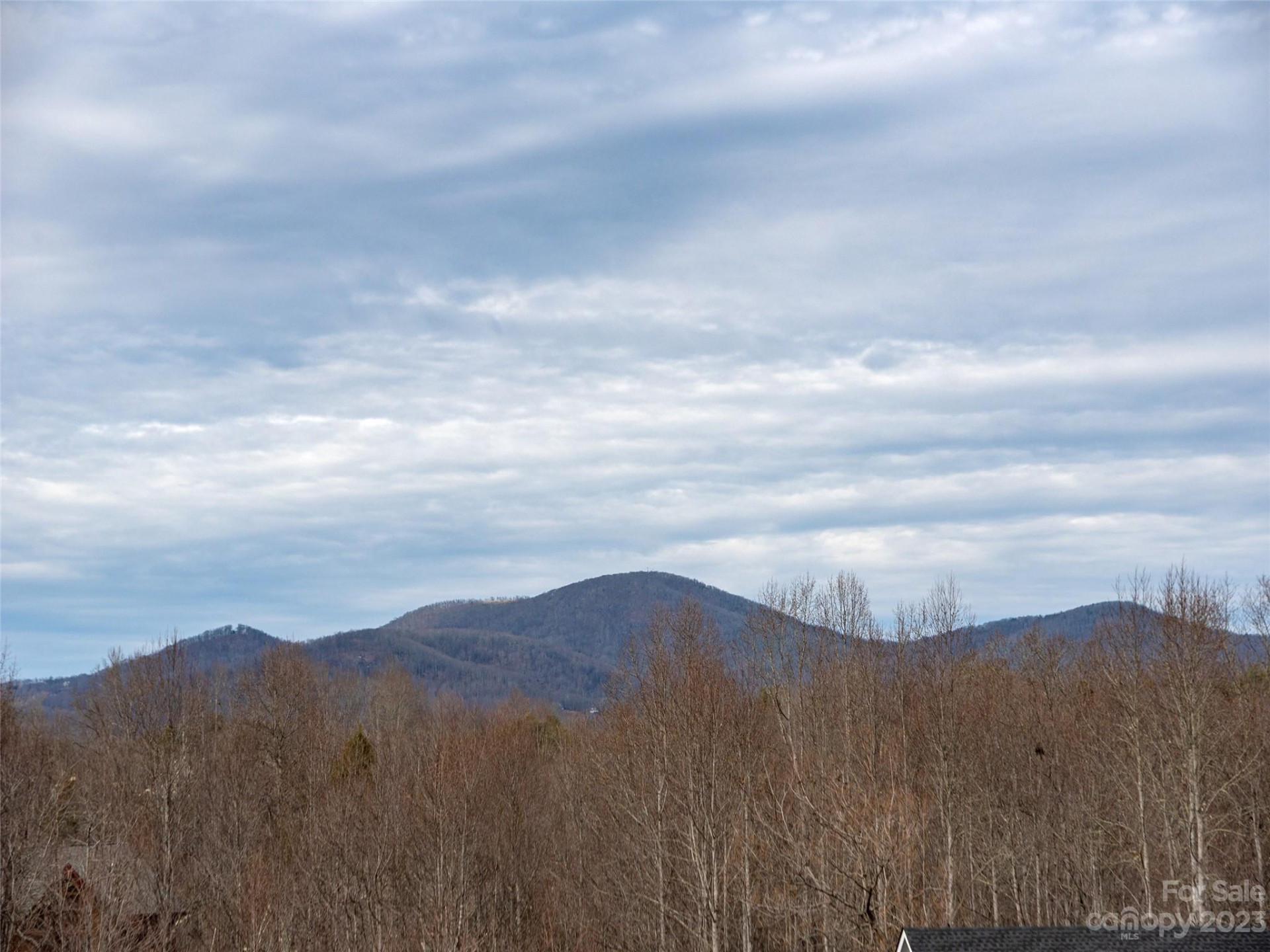 17 Sunny Morning Court - Photo 5