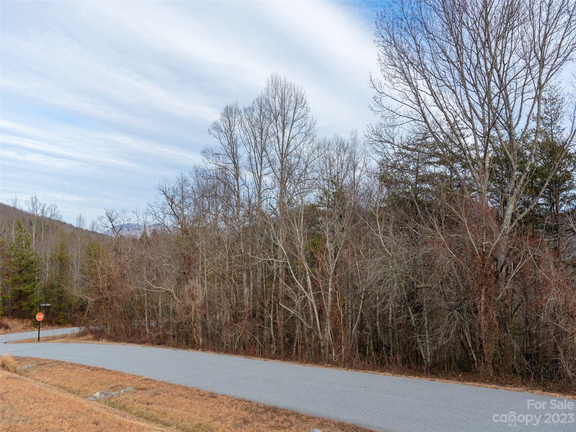 17 Sunny Morning Court - Photo 6