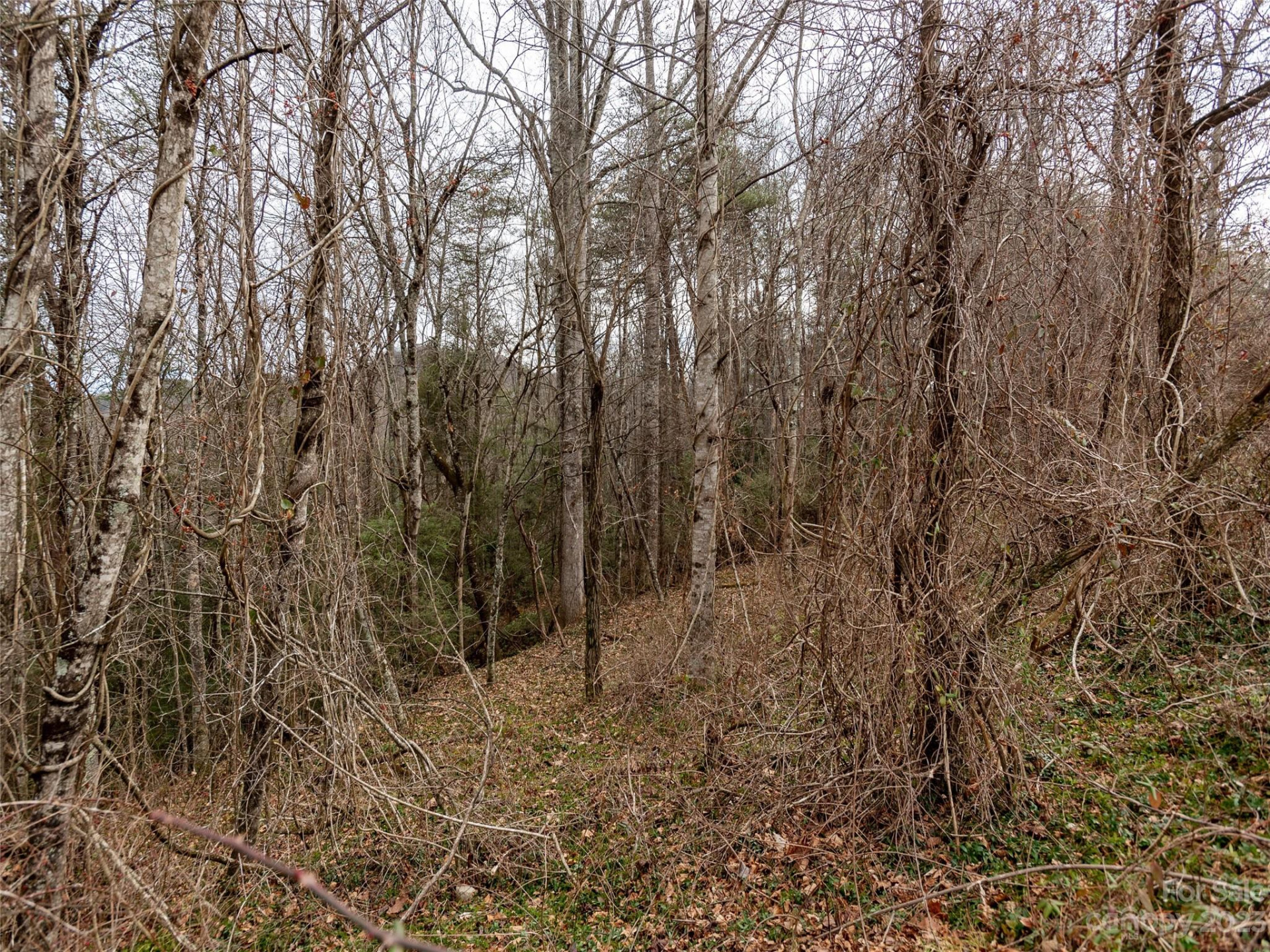 17 Sunny Morning Court - Photo 8