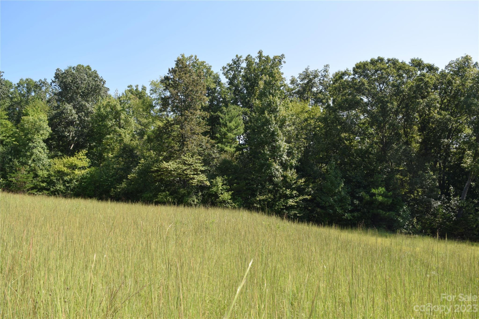 913 Jamestown Road - Photo 10