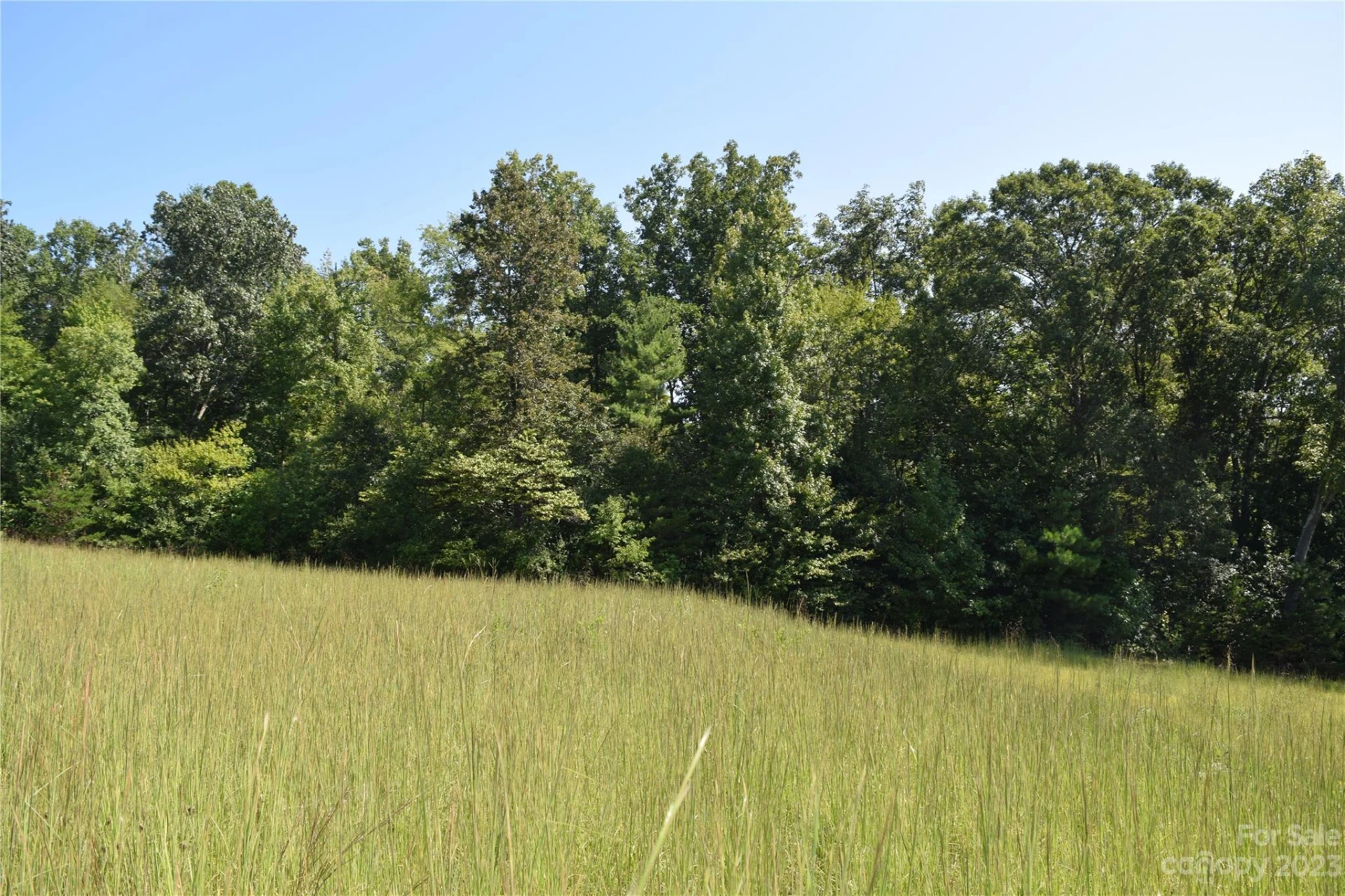 913 Jamestown Road - Photo 10
