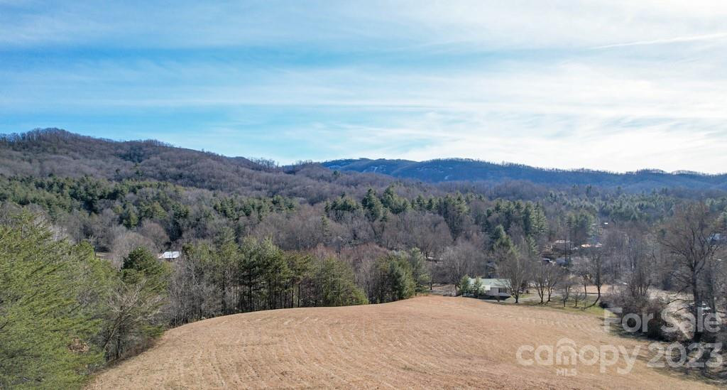66 Fox Branch Road - Photo 29