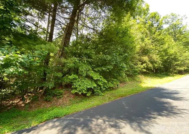 68 Stepp Ridge Court