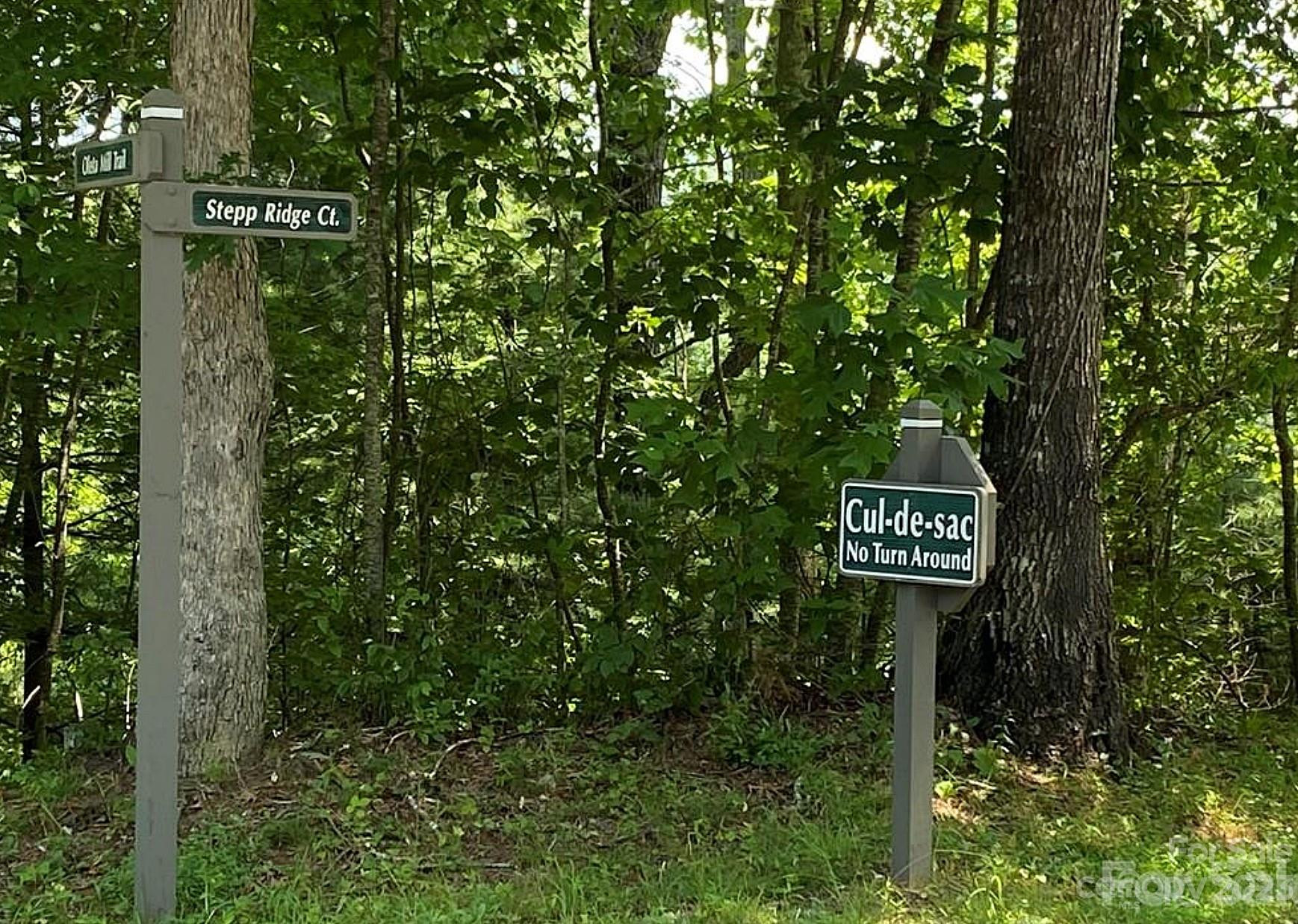 68 Stepp Ridge Court - Photo 3