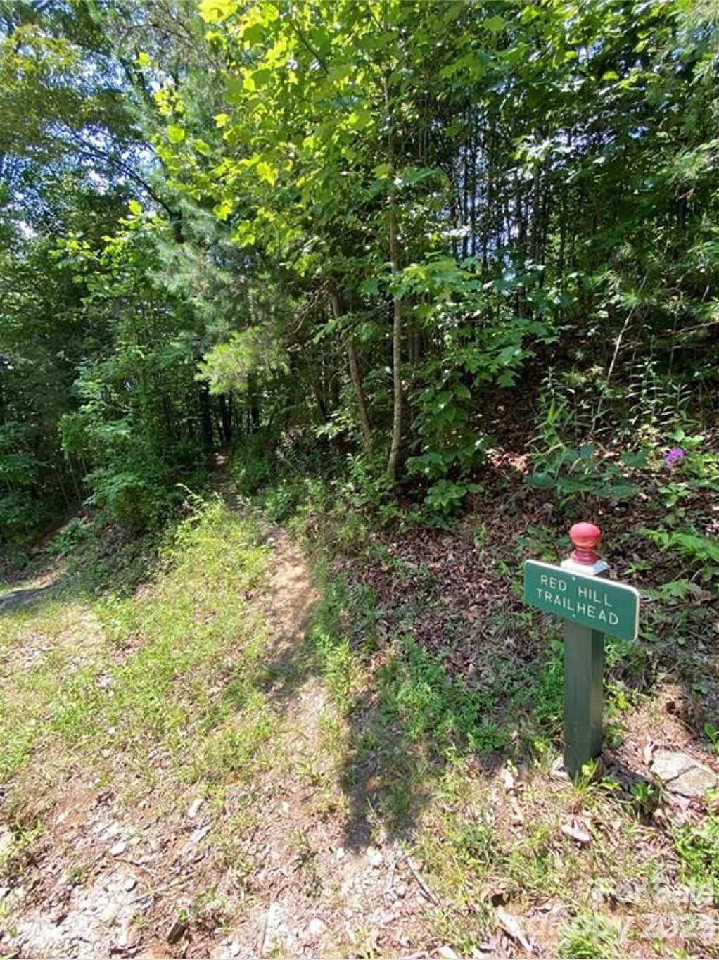 68 Stepp Ridge Court - Photo 4