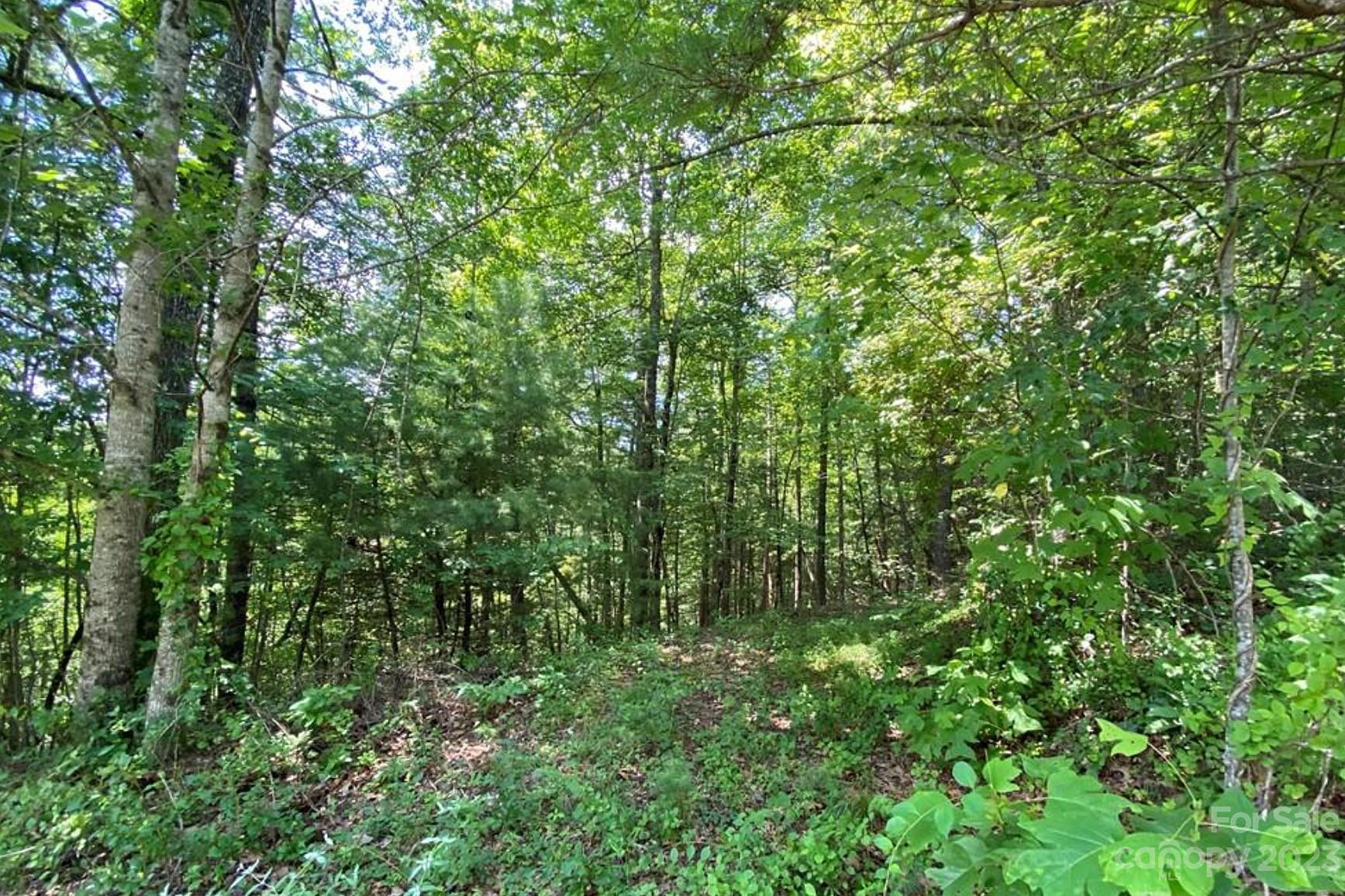 68 Stepp Ridge Court - Photo 5