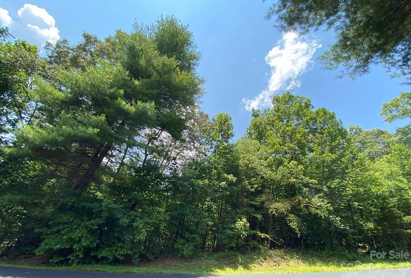 68 Stepp Ridge Court - Photo 6