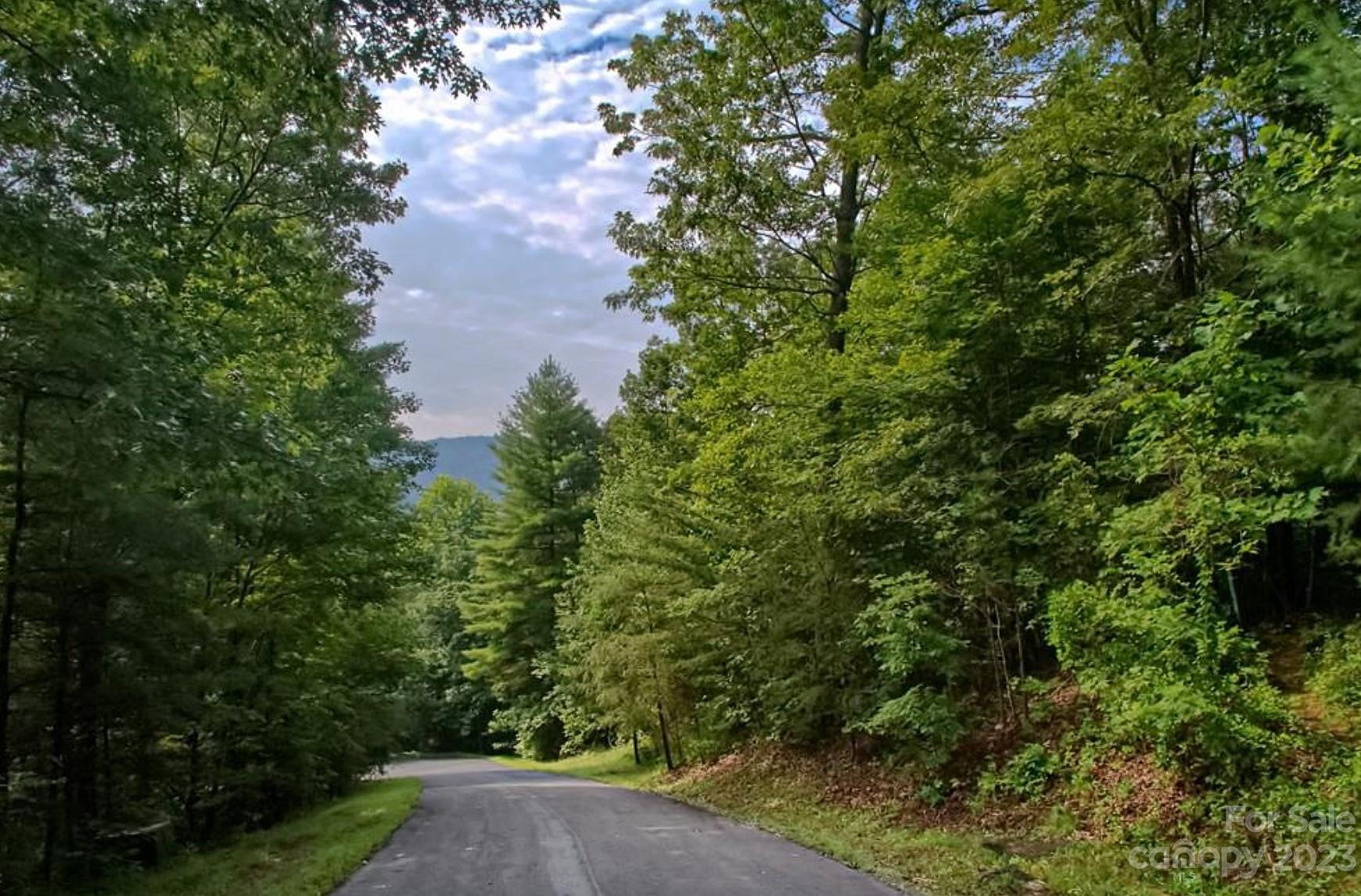 68 Stepp Ridge Court - Photo 7