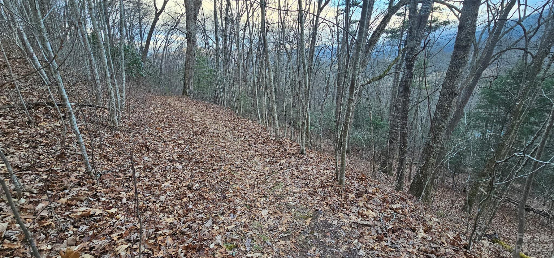 Lot 9 Seay Mountain Road