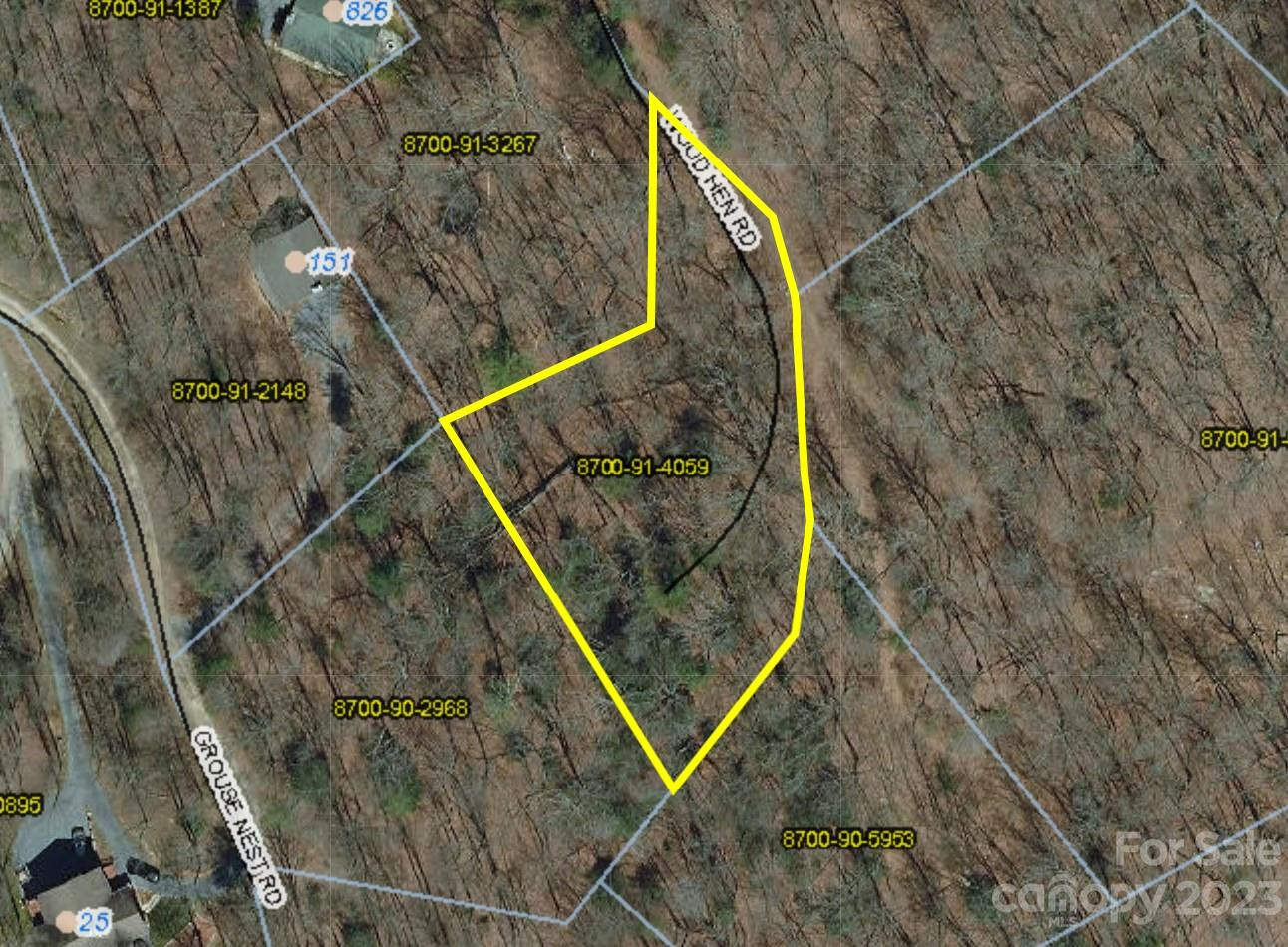 Lot 9 Seay Mountain Road - Photo 13