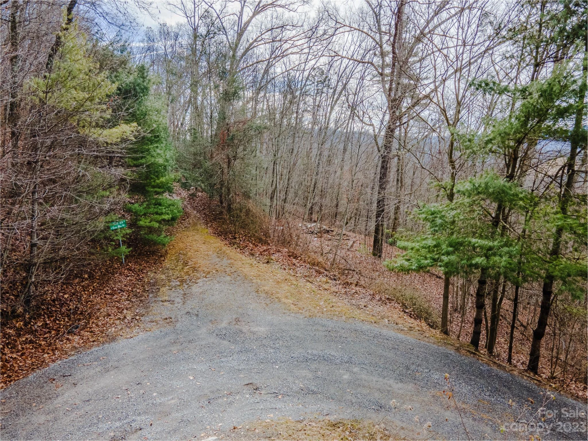 Lot 9 Seay Mountain Road - Photo 14