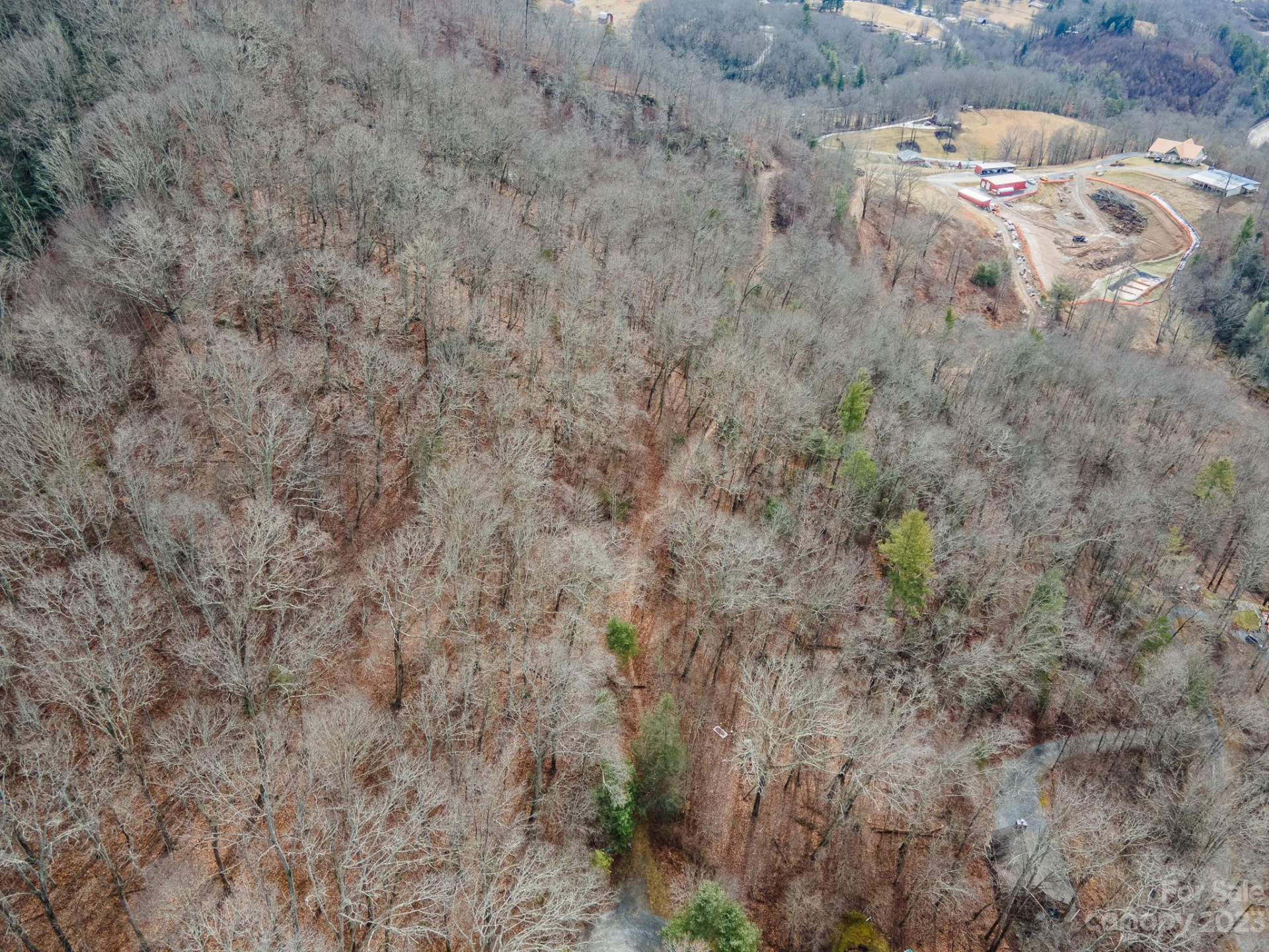 Lot 9 Seay Mountain Road - Photo 16