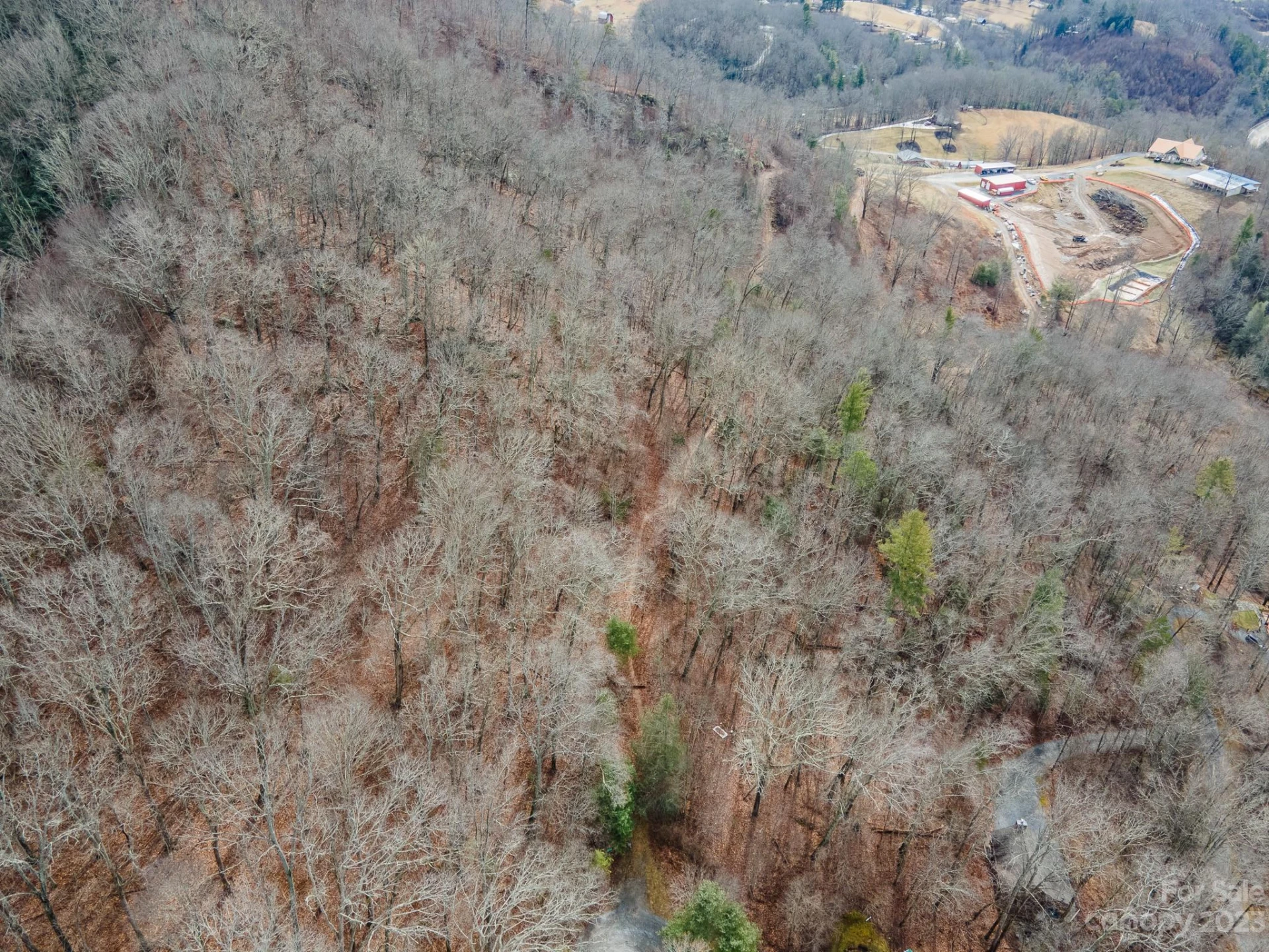Lot 9 Seay Mountain Road - Photo 16