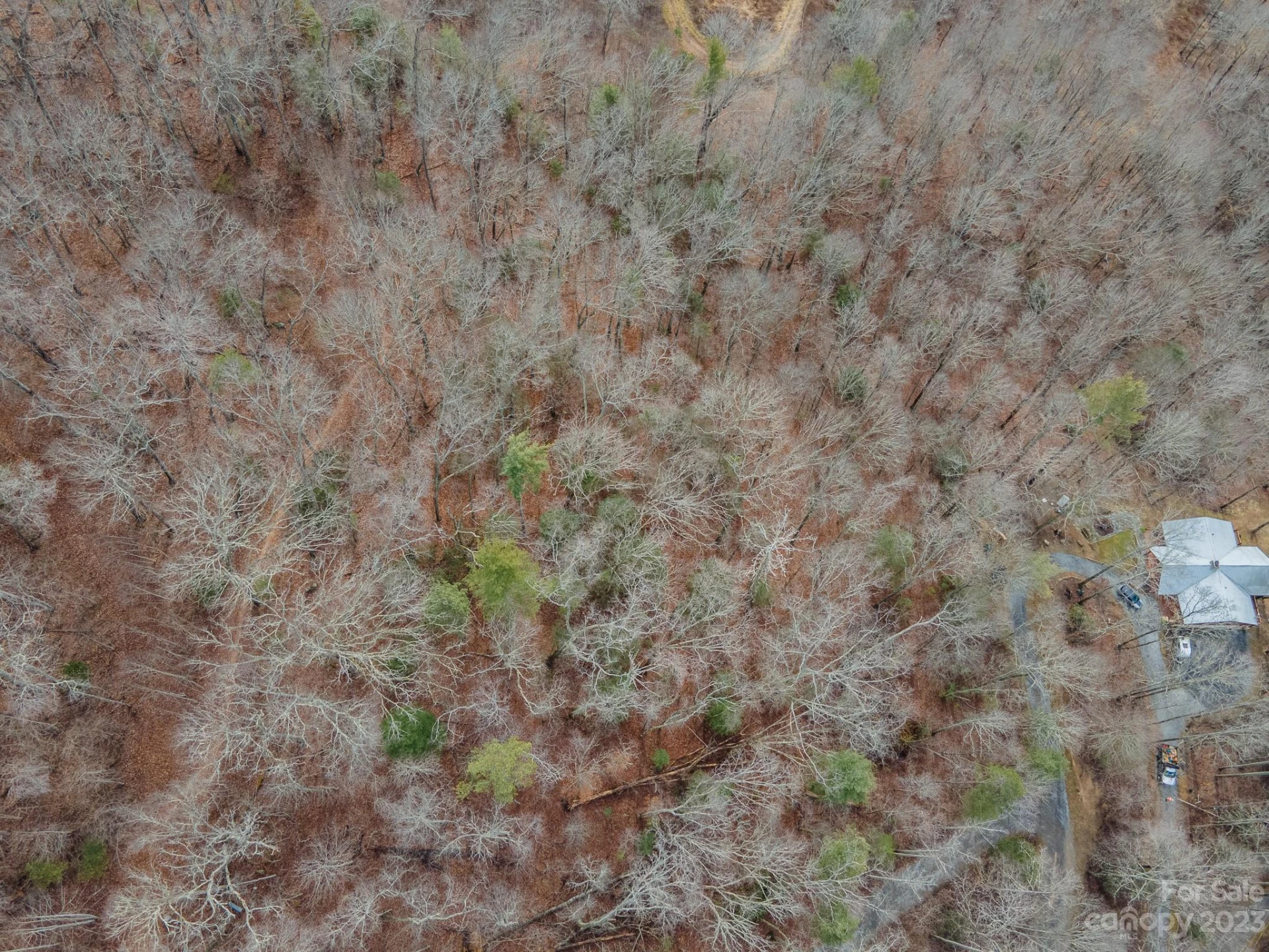 Lot 9 Seay Mountain Road - Photo 18