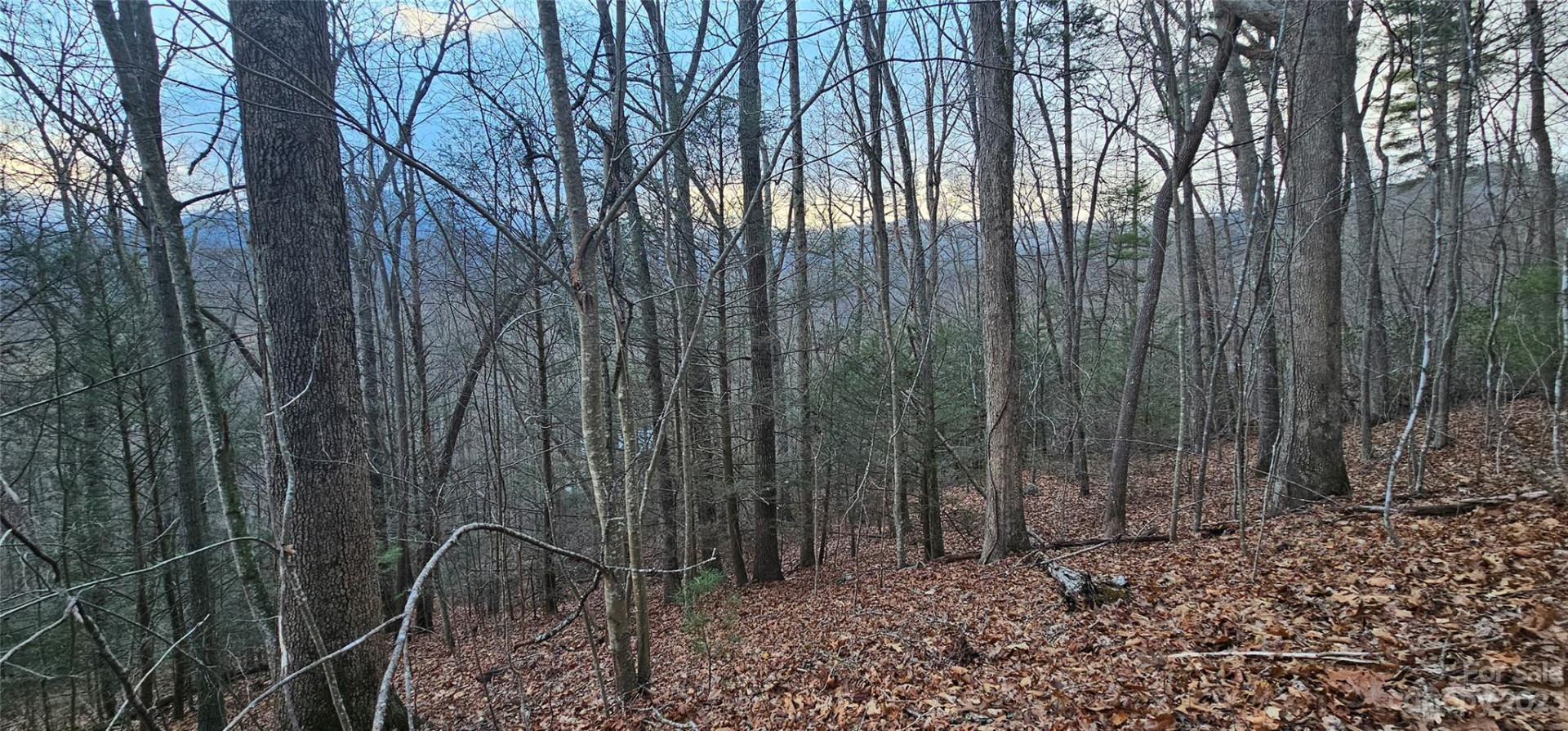 Lot 9 Seay Mountain Road - Photo 9