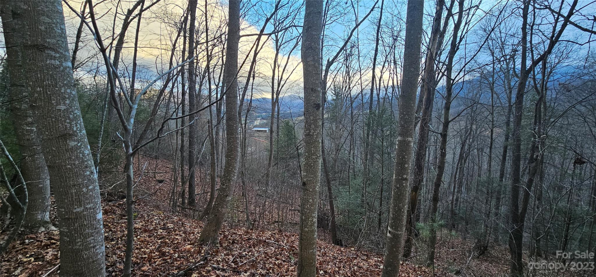 Lot 10 Seay Mountain Road