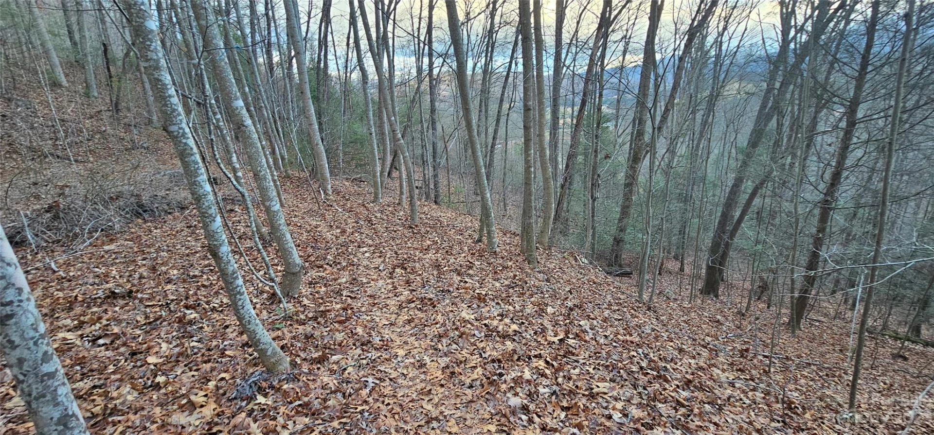 Lot 10 Seay Mountain Road - Photo 2