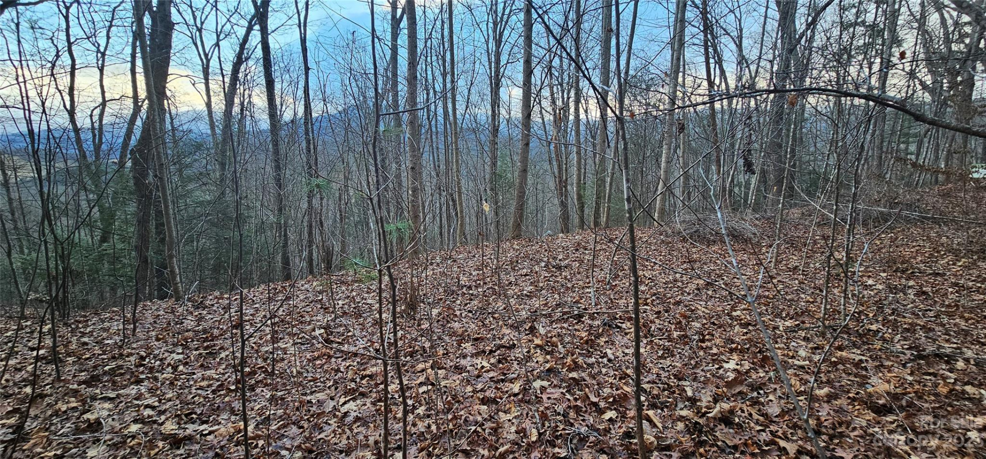 Lot 10 Seay Mountain Road - Photo 11