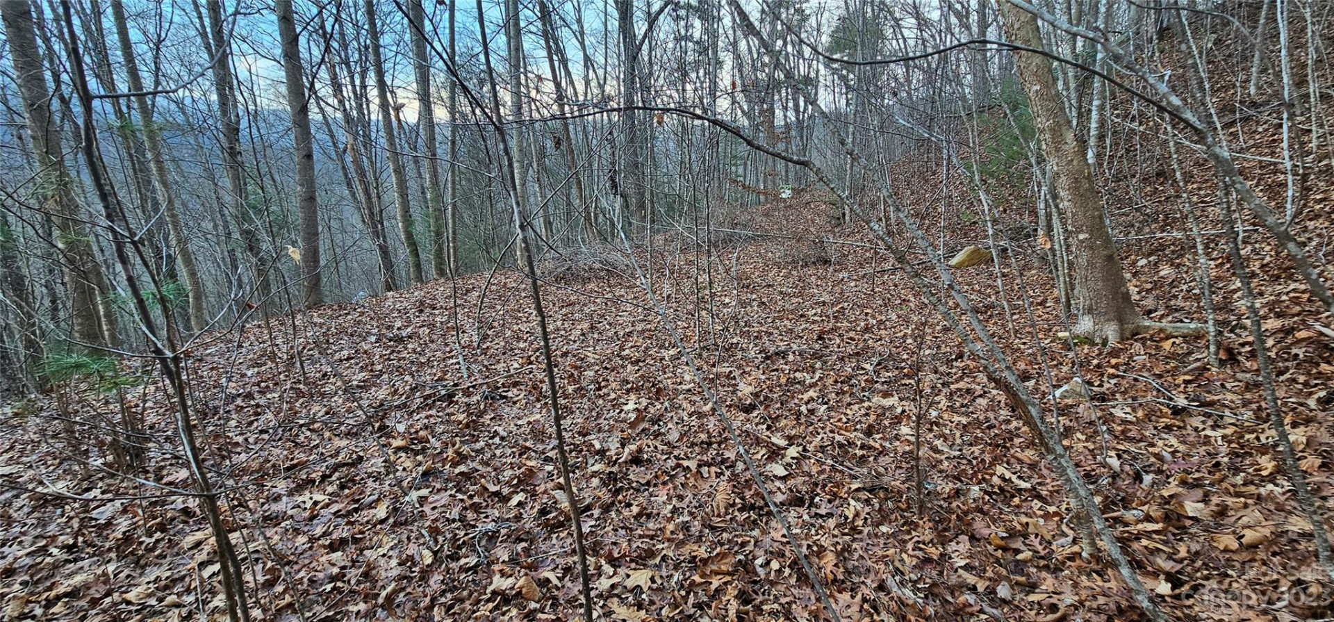 Lot 10 Seay Mountain Road - Photo 12