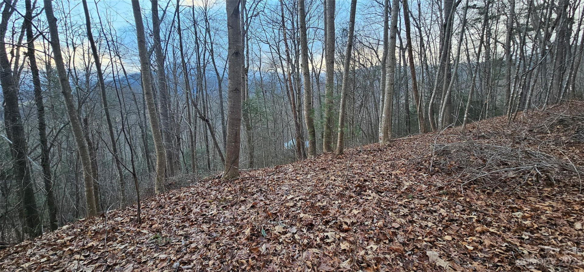 Lot 10 Seay Mountain Road - Photo 13